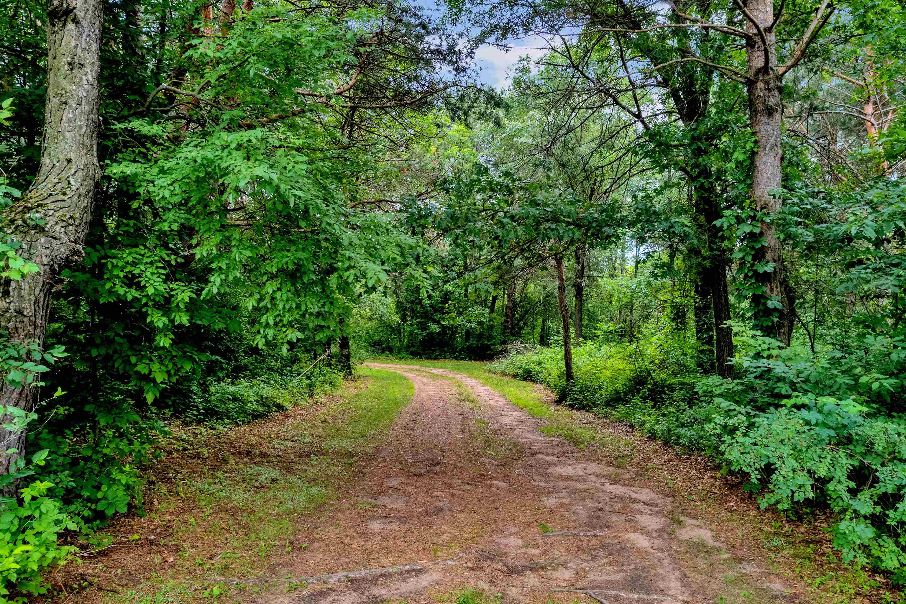 16 acres mol OLE RIVER ROAD, Stevens Point, Wisconsin 54481, ,Land,For Sale,16 acres mol OLE RIVER ROAD,22203505