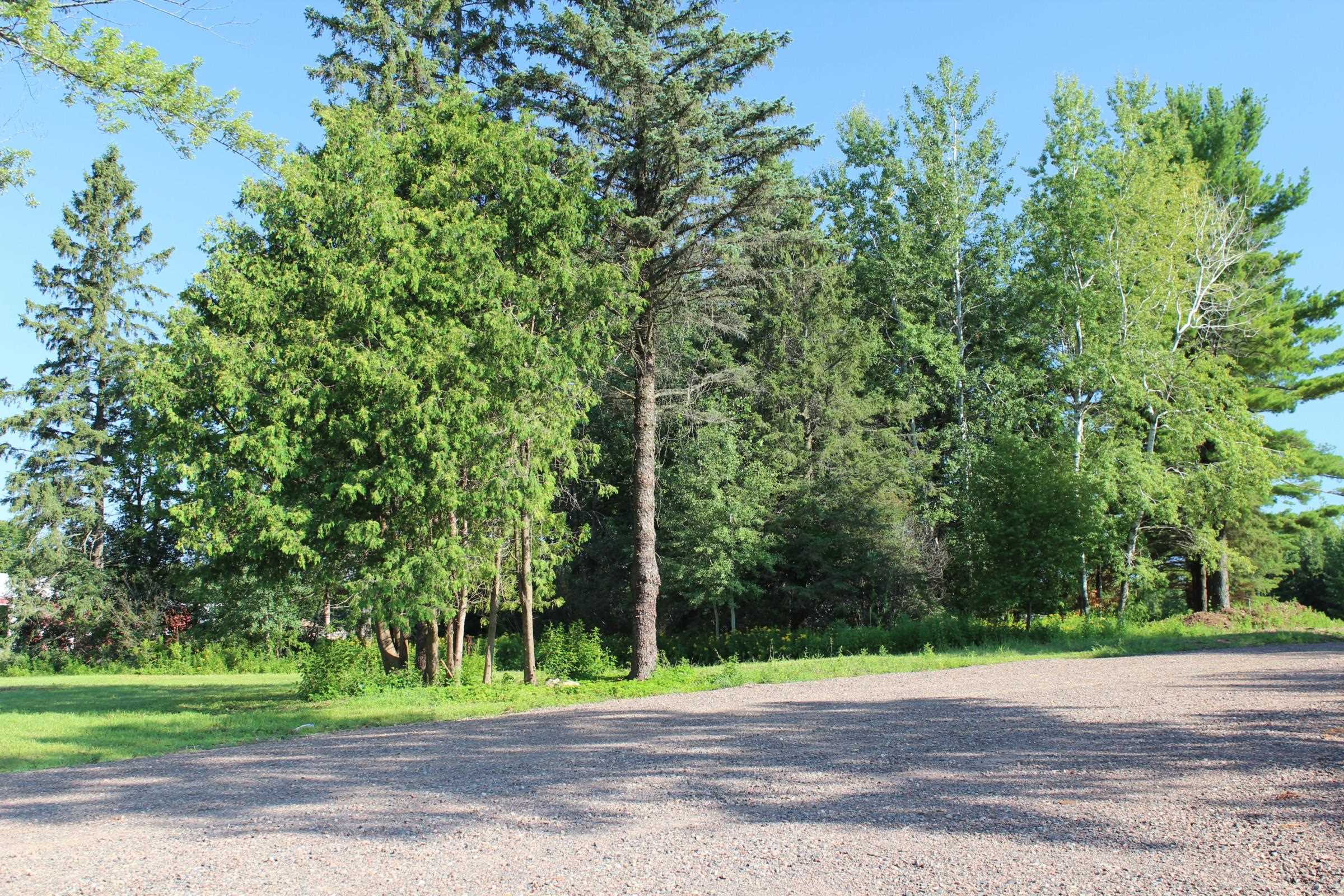 +/- 1 Acre STATE HIGHWAY 64, Medford, Wisconsin 54451, ,Land,For Sale,+/- 1 Acre STATE HIGHWAY 64,22204097
