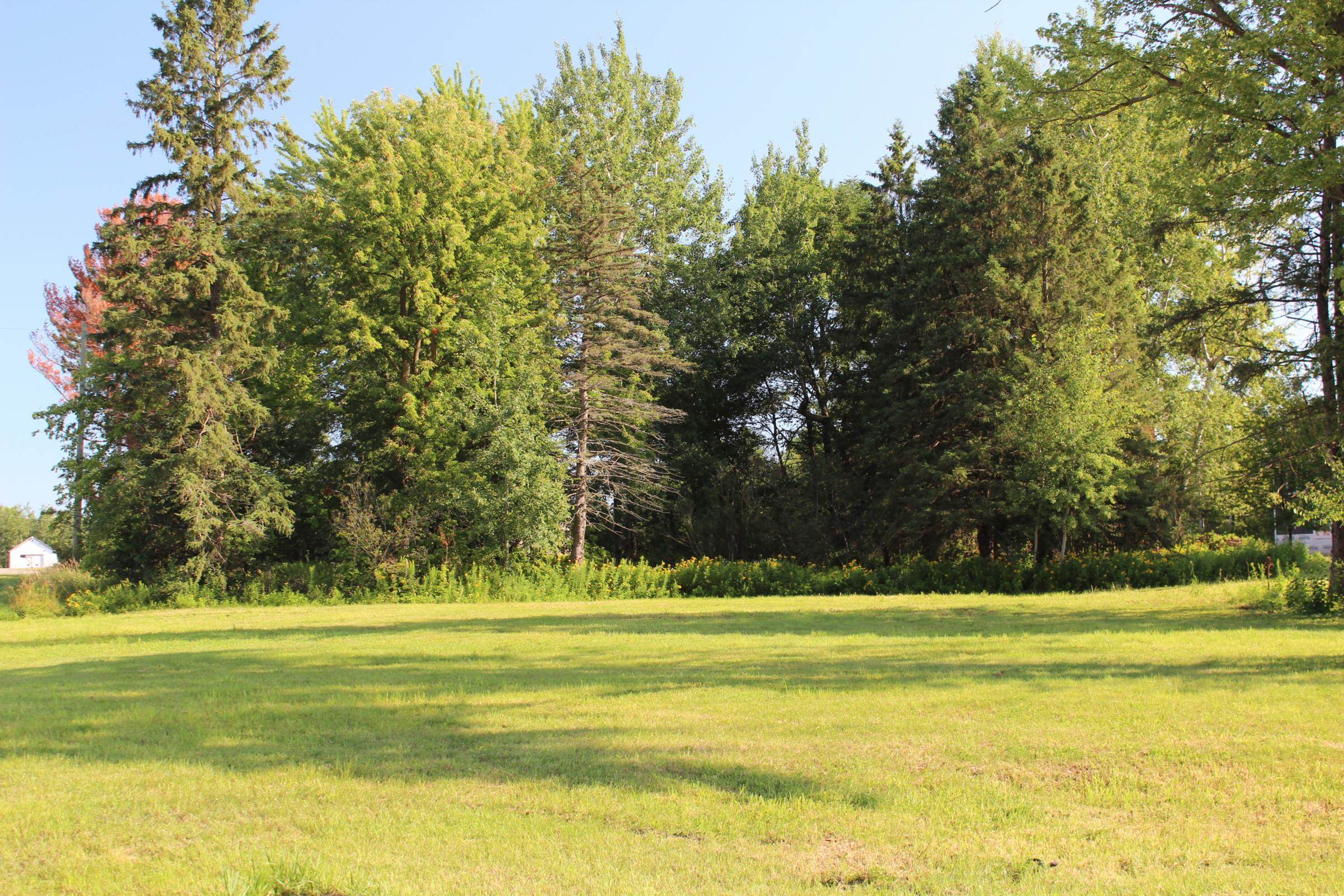 +/- 1 Acre STATE HIGHWAY 64, Medford, Wisconsin 54451, ,Land,For Sale,+/- 1 Acre STATE HIGHWAY 64,22204097
