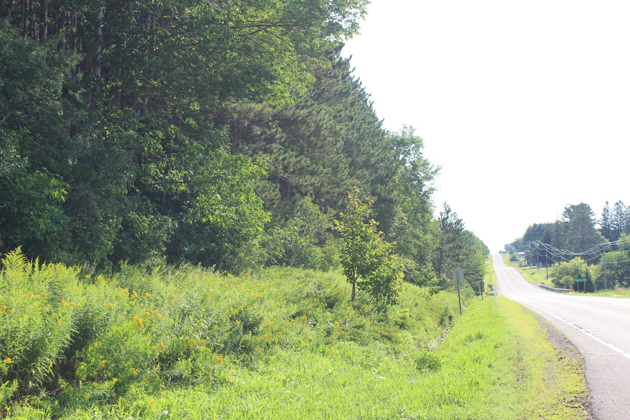 +/-3.64 Acres STATE HIGHWAY 64, Medford, Wisconsin 54451, ,Land,For Sale,+/-3.64 Acres STATE HIGHWAY 64,22204100