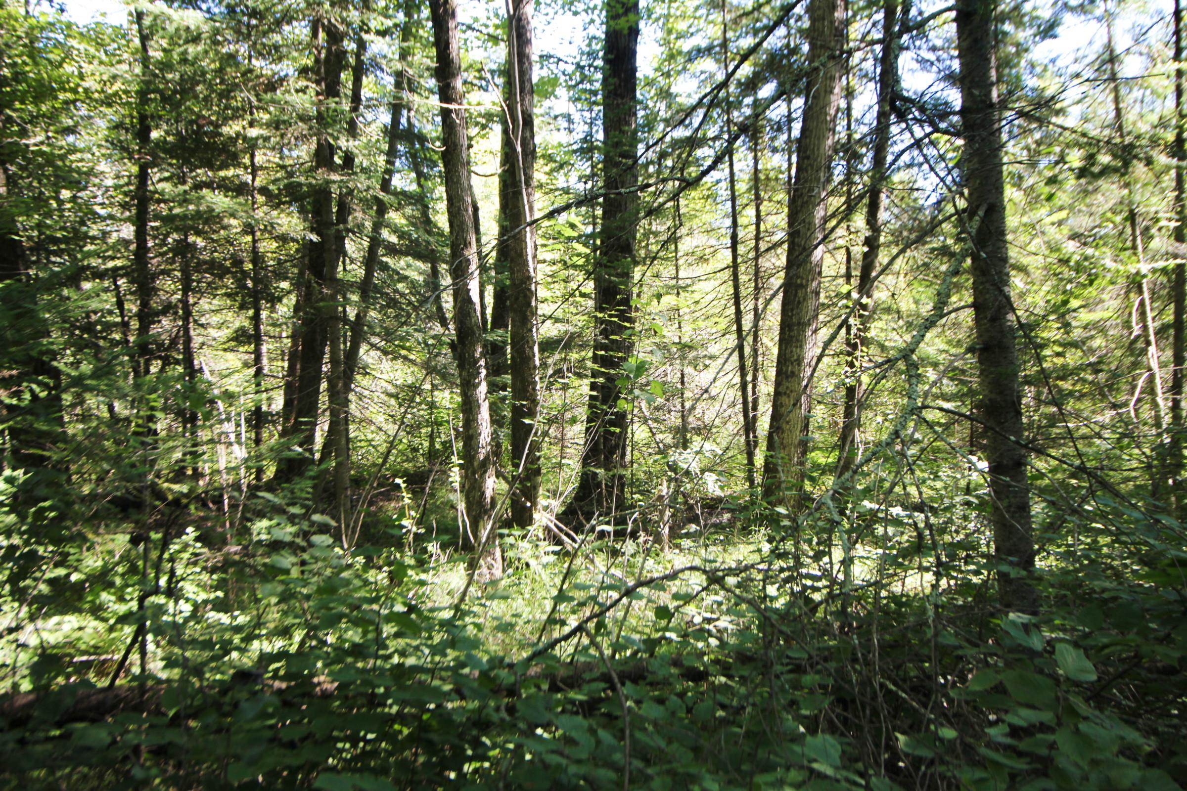 Lots and Land for sale in Ogema, Wisconsin, 22204119