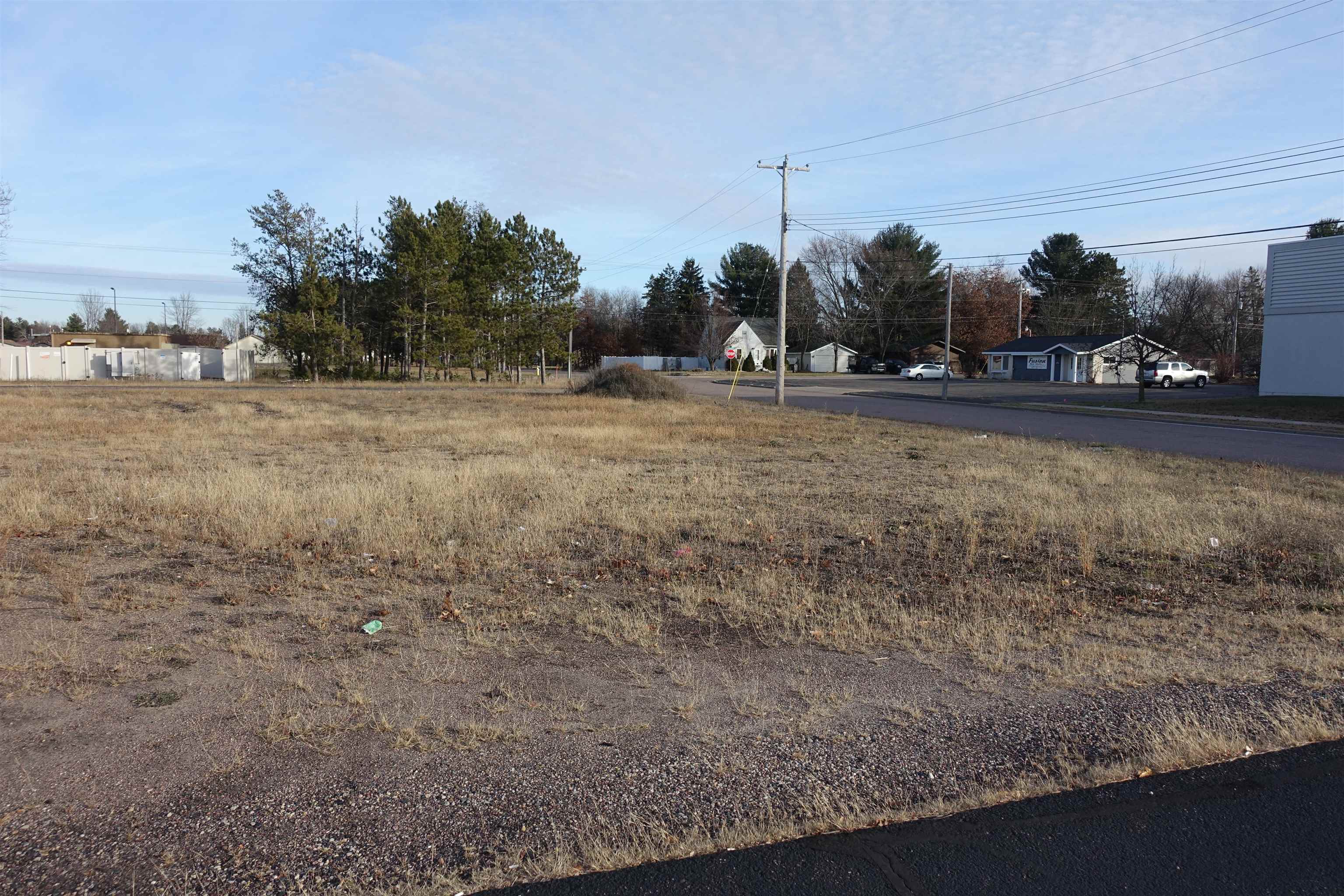 851 GOODNOW AVENUE, Wisconsin Rapids, Wisconsin 54494, ,Land,For Sale,851 GOODNOW AVENUE,22205770