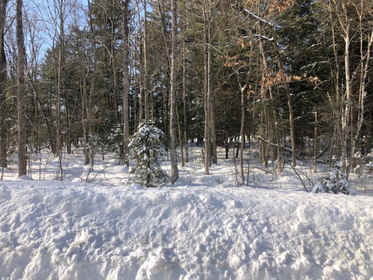 4112 RIVER BEND ROAD, Weston, Wisconsin 54476, ,Land,For Sale,4112 RIVER BEND ROAD,22230231