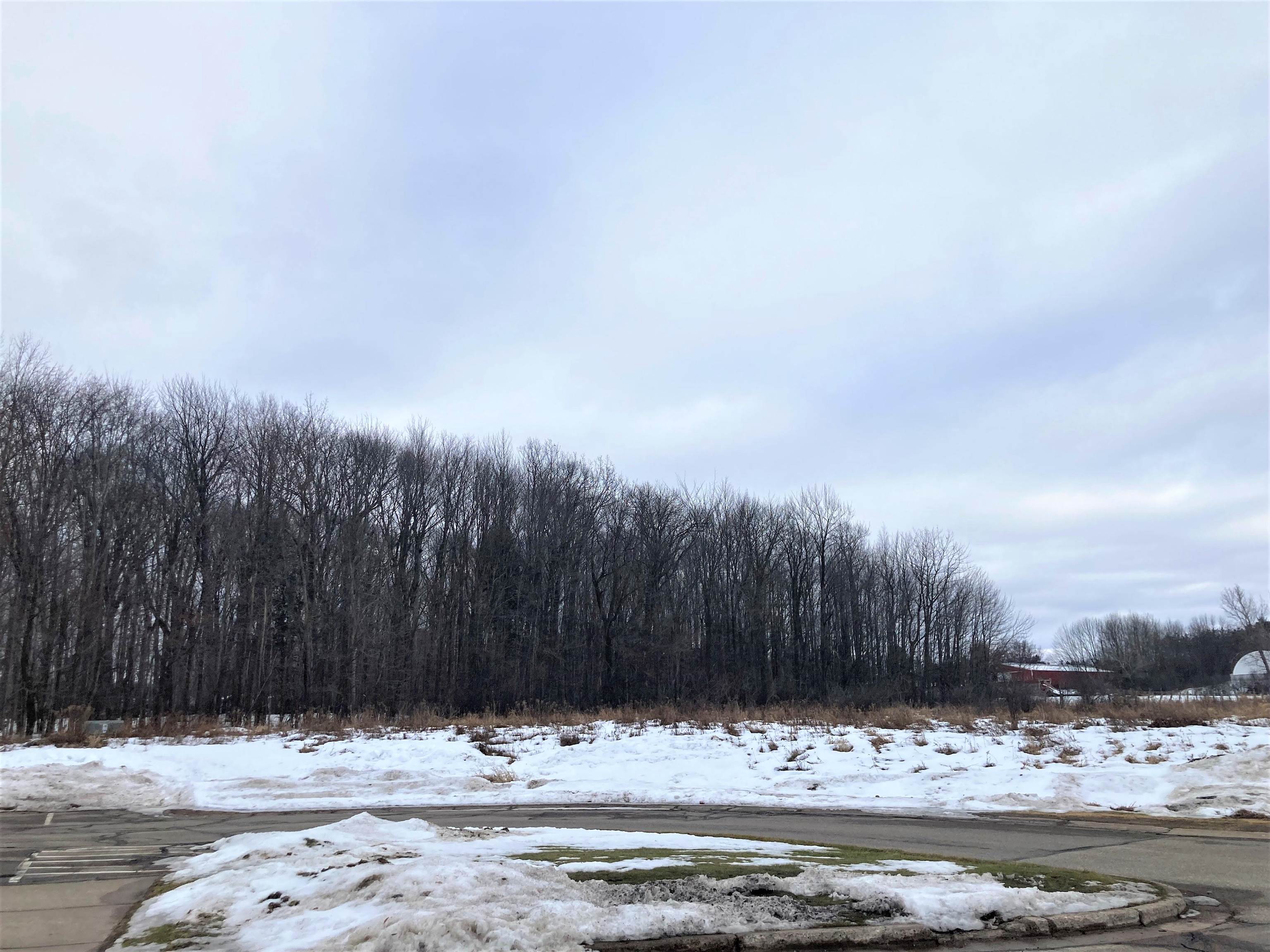 232558 WELLBORN ROAD, Wausau, Wisconsin 54403, 3 Bedrooms Bedrooms, ,1 BathroomBathrooms,Residential,For Sale,232558 WELLBORN ROAD,22230492