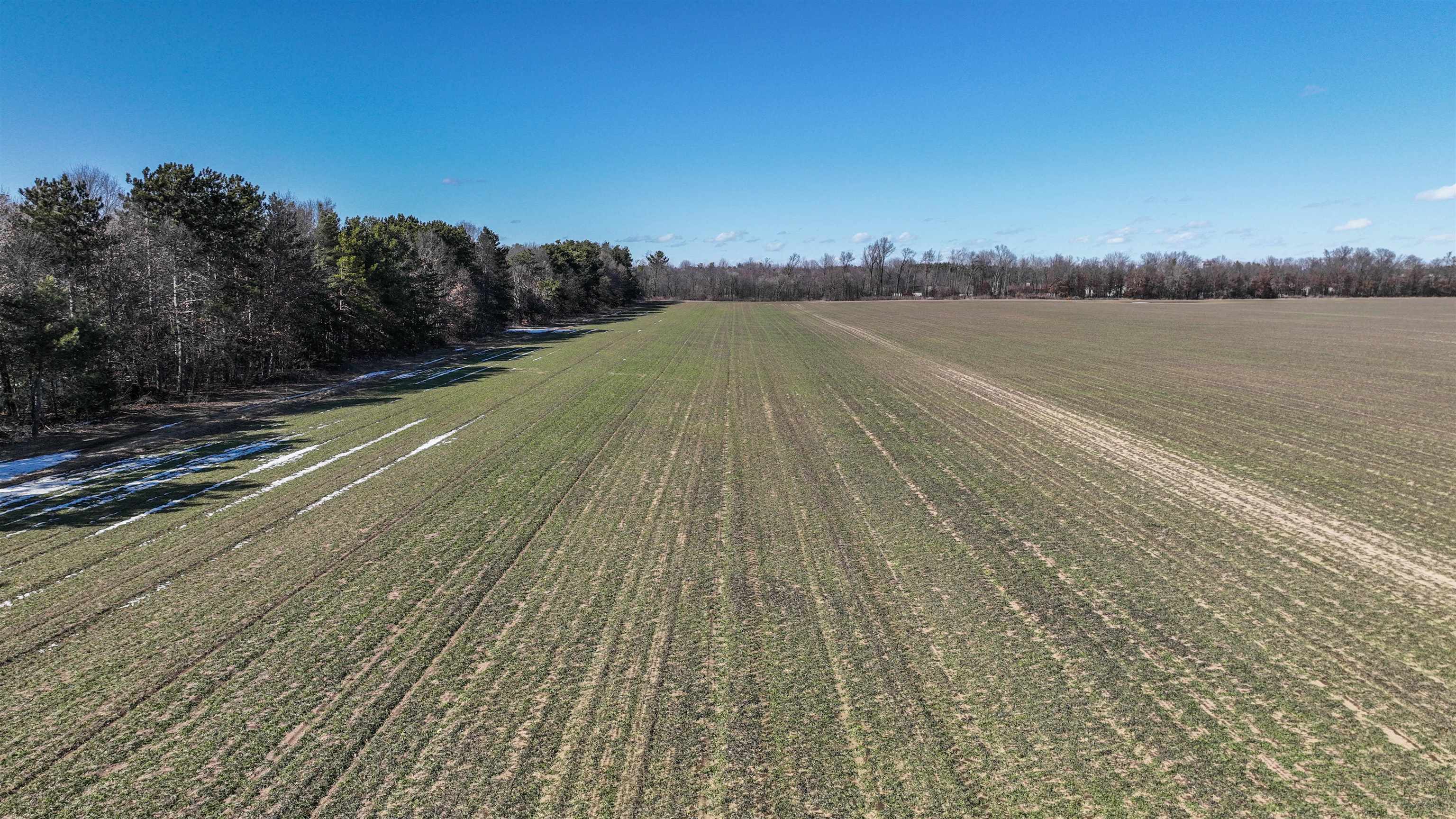 36.20 Acres BRENTWOOD DRIVE, Plover, Wisconsin 54467, ,Land,For Sale,36.20 Acres BRENTWOOD DRIVE,22231119