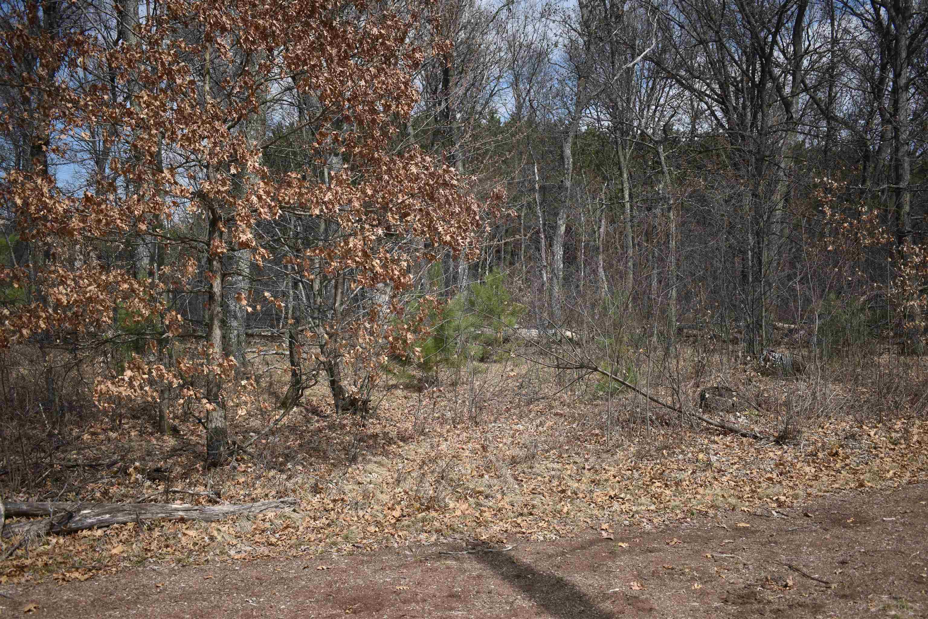 Lot 25 SOUTHVIEW DRIVE, Necedah, Wisconsin 54646, ,Land,For Sale,Lot 25 SOUTHVIEW DRIVE,22231209