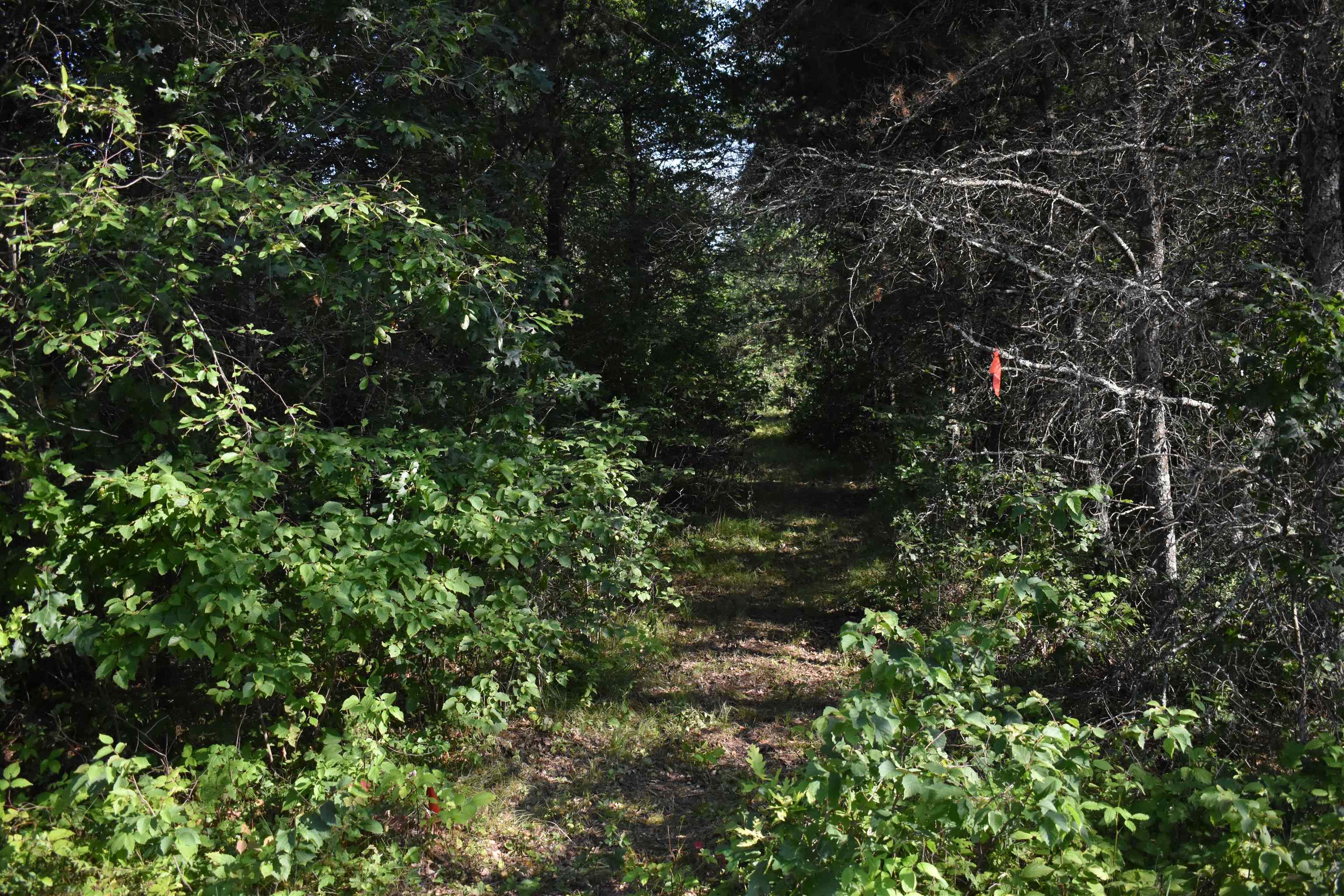 Lot 25 SOUTHVIEW DRIVE, Necedah, Wisconsin 54646, ,Land,For Sale,Lot 25 SOUTHVIEW DRIVE,22231209