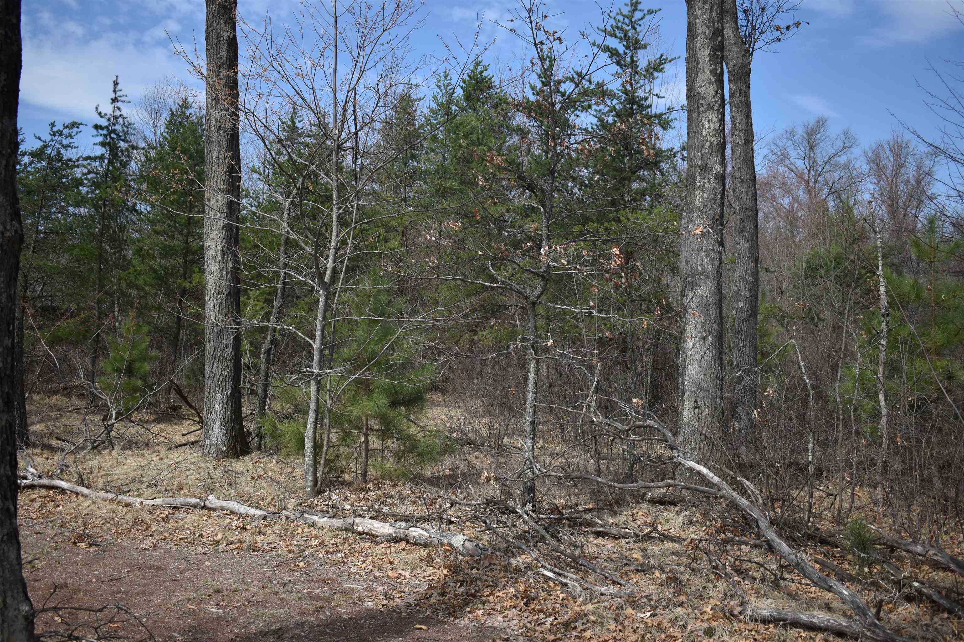 Lot 25 SOUTHVIEW DRIVE, Necedah, Wisconsin 54646, ,Land,For Sale,Lot 25 SOUTHVIEW DRIVE,22231209
