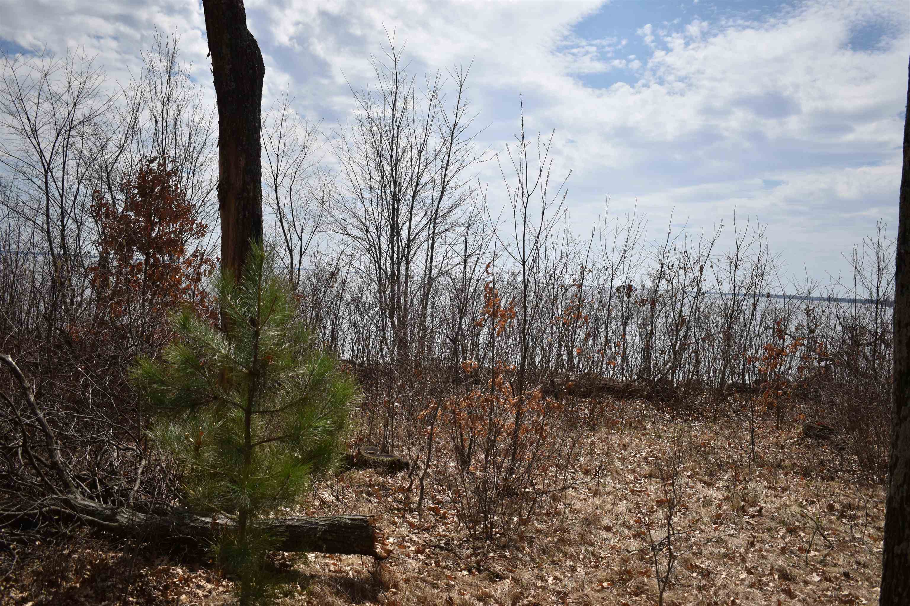 Lot 25 SOUTHVIEW DRIVE, Necedah, Wisconsin 54646, ,Land,For Sale,Lot 25 SOUTHVIEW DRIVE,22231209