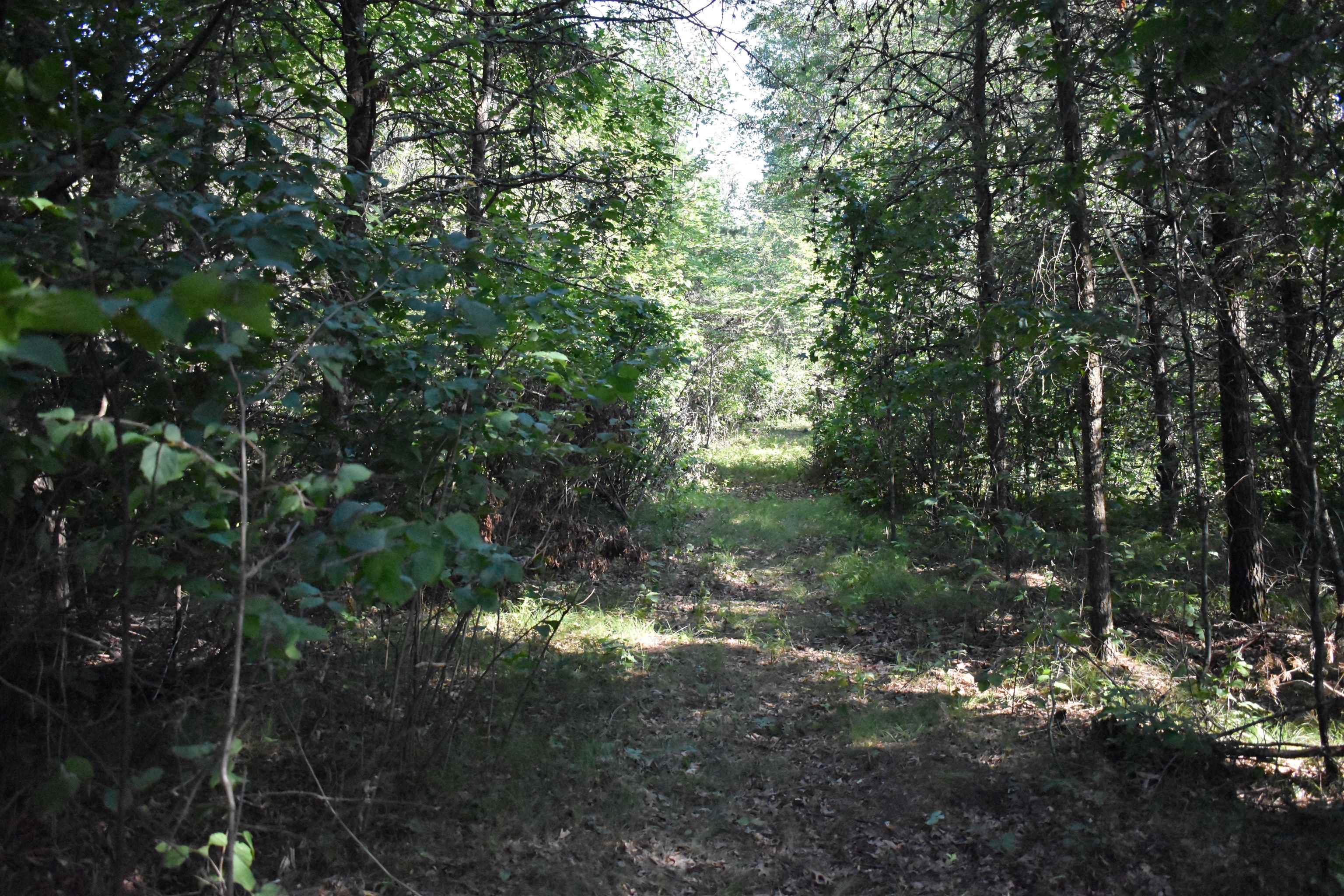 Lot 25 SOUTHVIEW DRIVE, Necedah, Wisconsin 54646, ,Land,For Sale,Lot 25 SOUTHVIEW DRIVE,22231209
