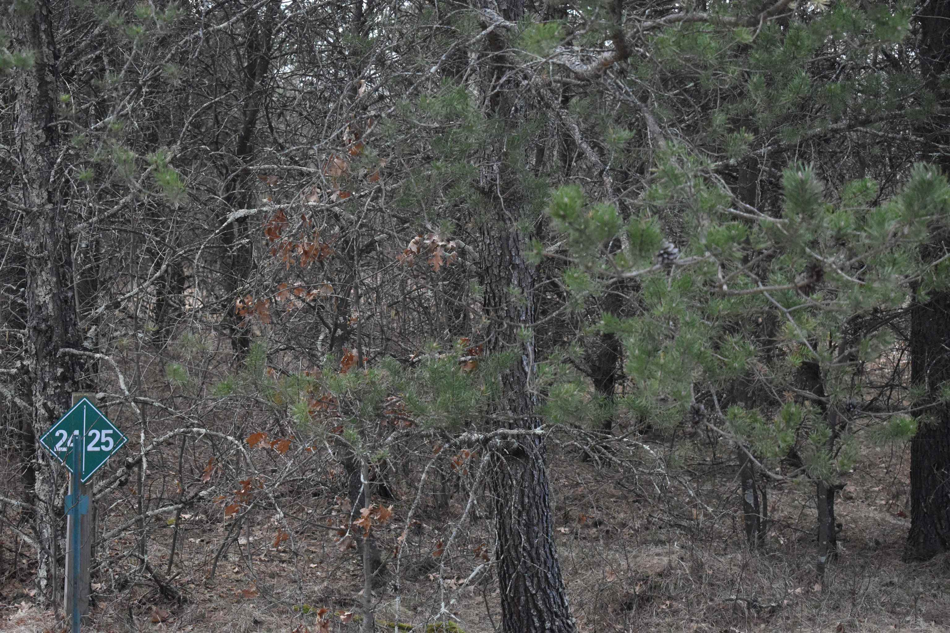 Lot 25 SOUTHVIEW DRIVE, Necedah, Wisconsin 54646, ,Land,For Sale,Lot 25 SOUTHVIEW DRIVE,22231209