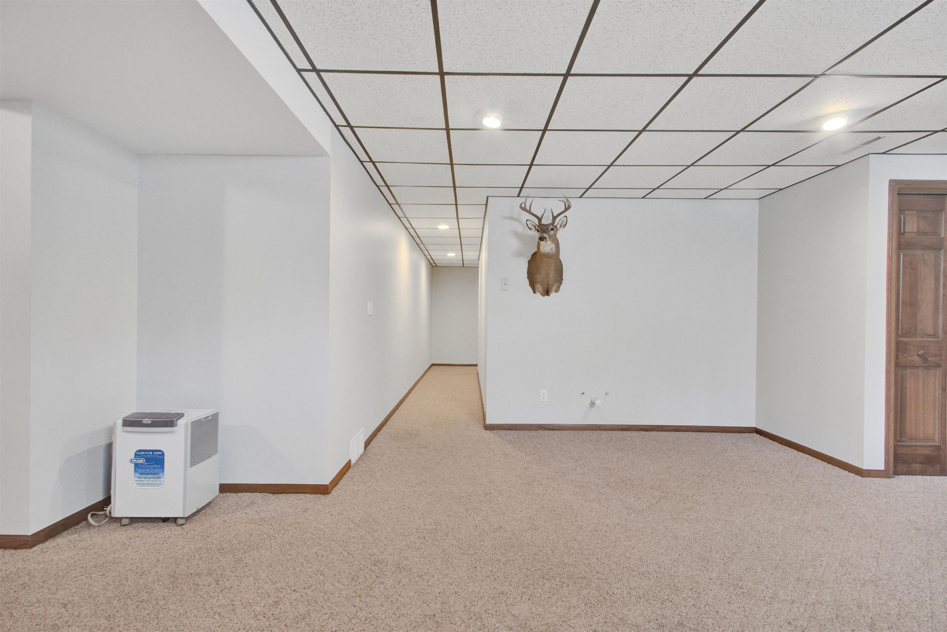 3684 GRAY LOG LANE