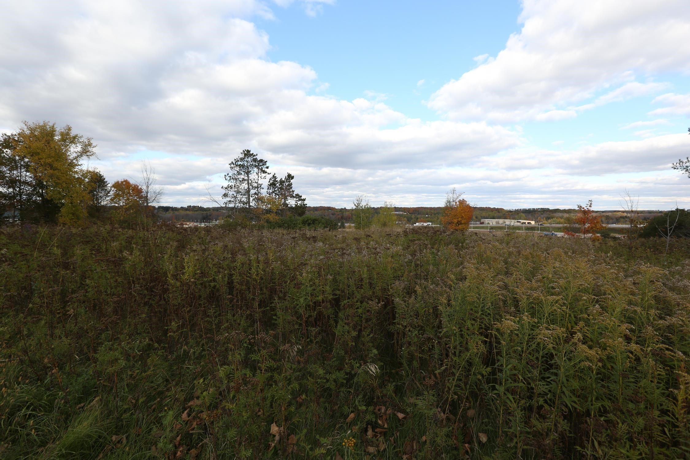 000 COUNTY ROAD K, Wausau, Wisconsin 54401, ,Land,For Sale,000 COUNTY ROAD K,22231549