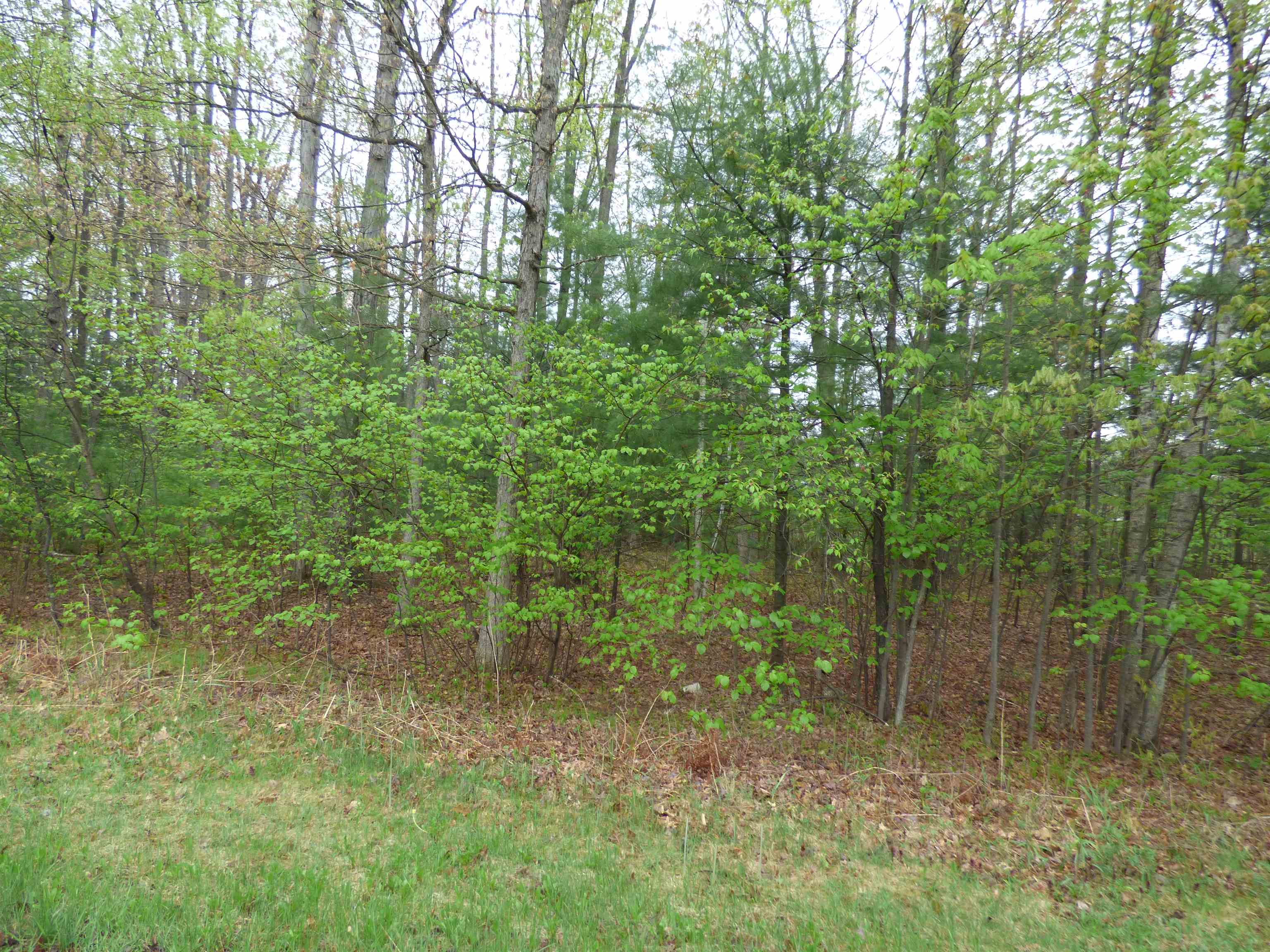 Lot 7 EAGLE SUMMIT, Stevens Point, Wisconsin 54482, ,Land,For Sale,Lot 7 EAGLE SUMMIT,22231828