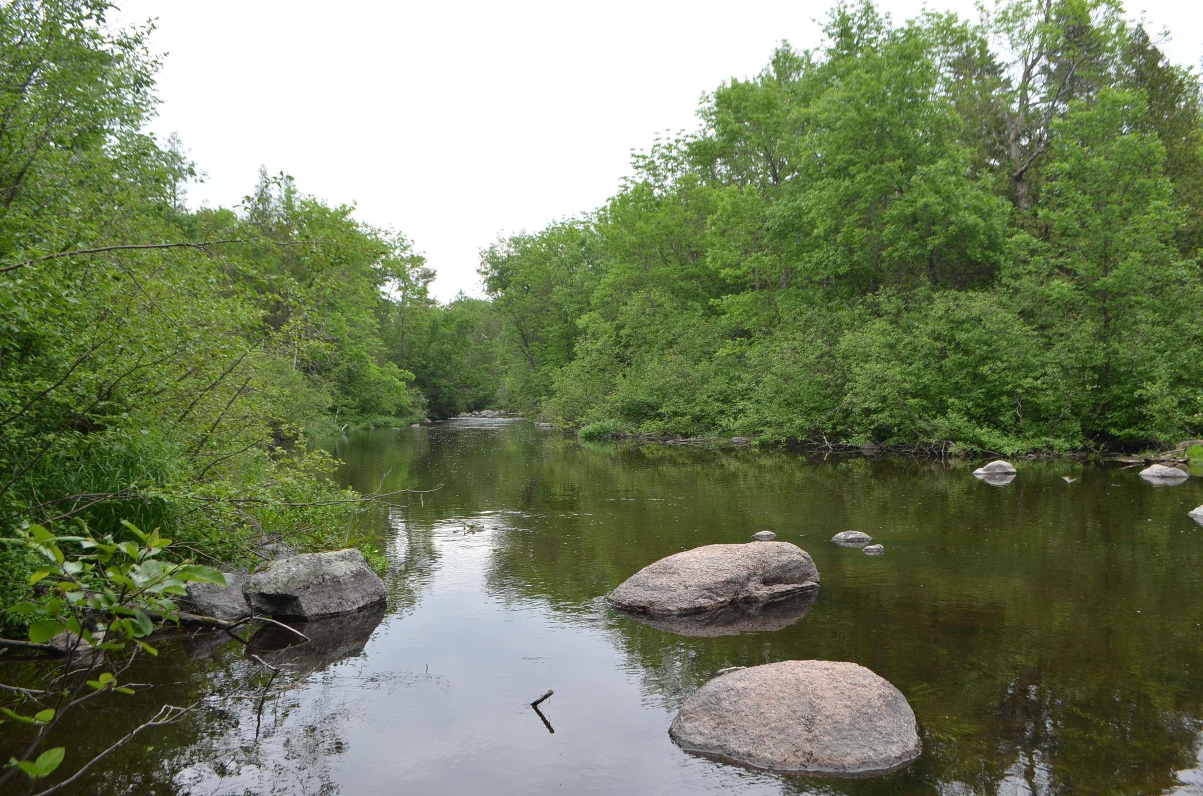 Lots and Land for sale in Hatley, Wisconsin, 22232179