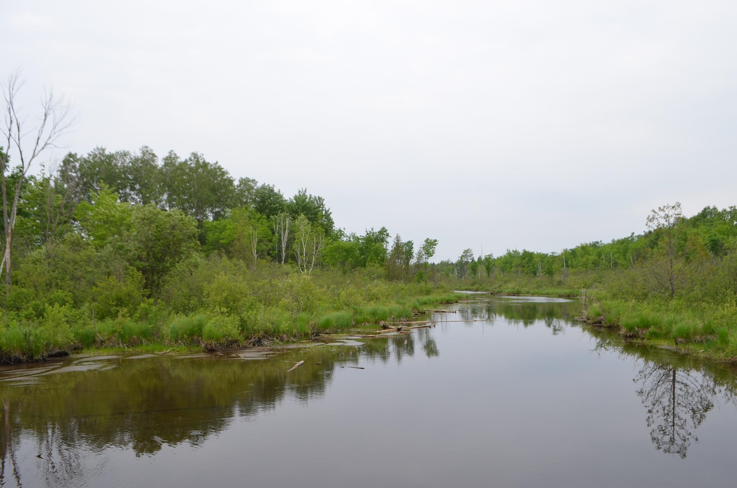 Lots and Land for sale in Hatley, Wisconsin, 22232179