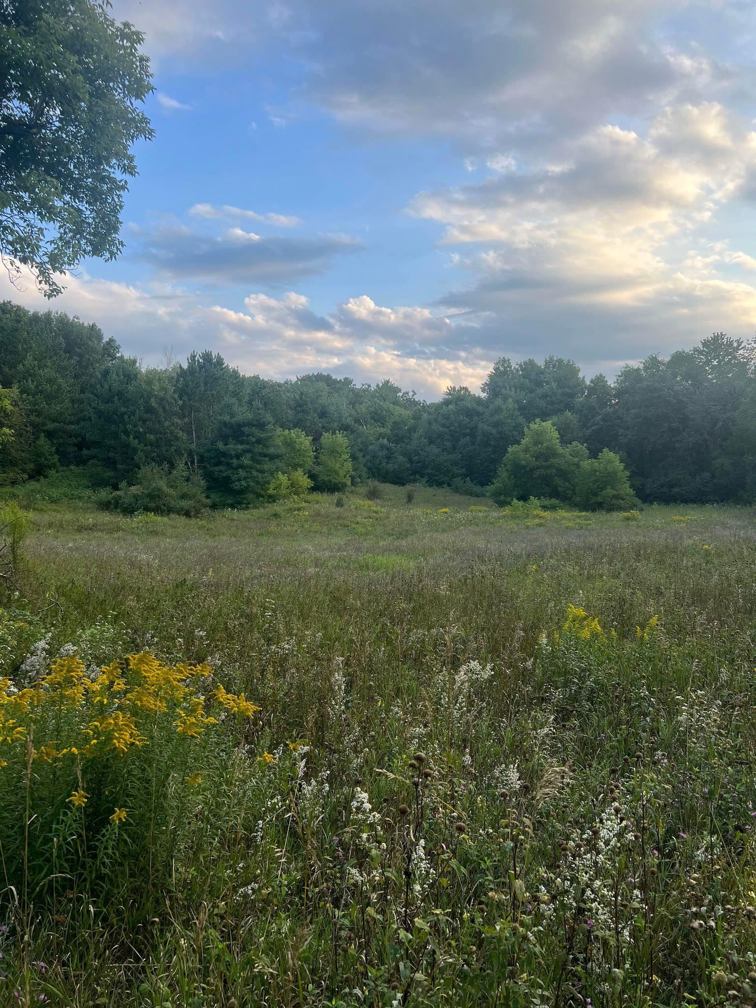 Lots and Land for sale in Scandinavia, Wisconsin, 22232357