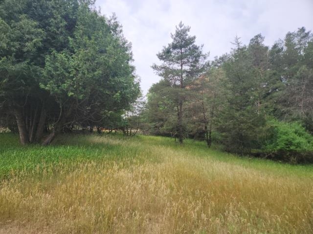 Lot 2 CRESTVIEW LANE, Nekoosa, Wisconsin 54457, ,Land,For Sale,Lot 2 CRESTVIEW LANE,22232409