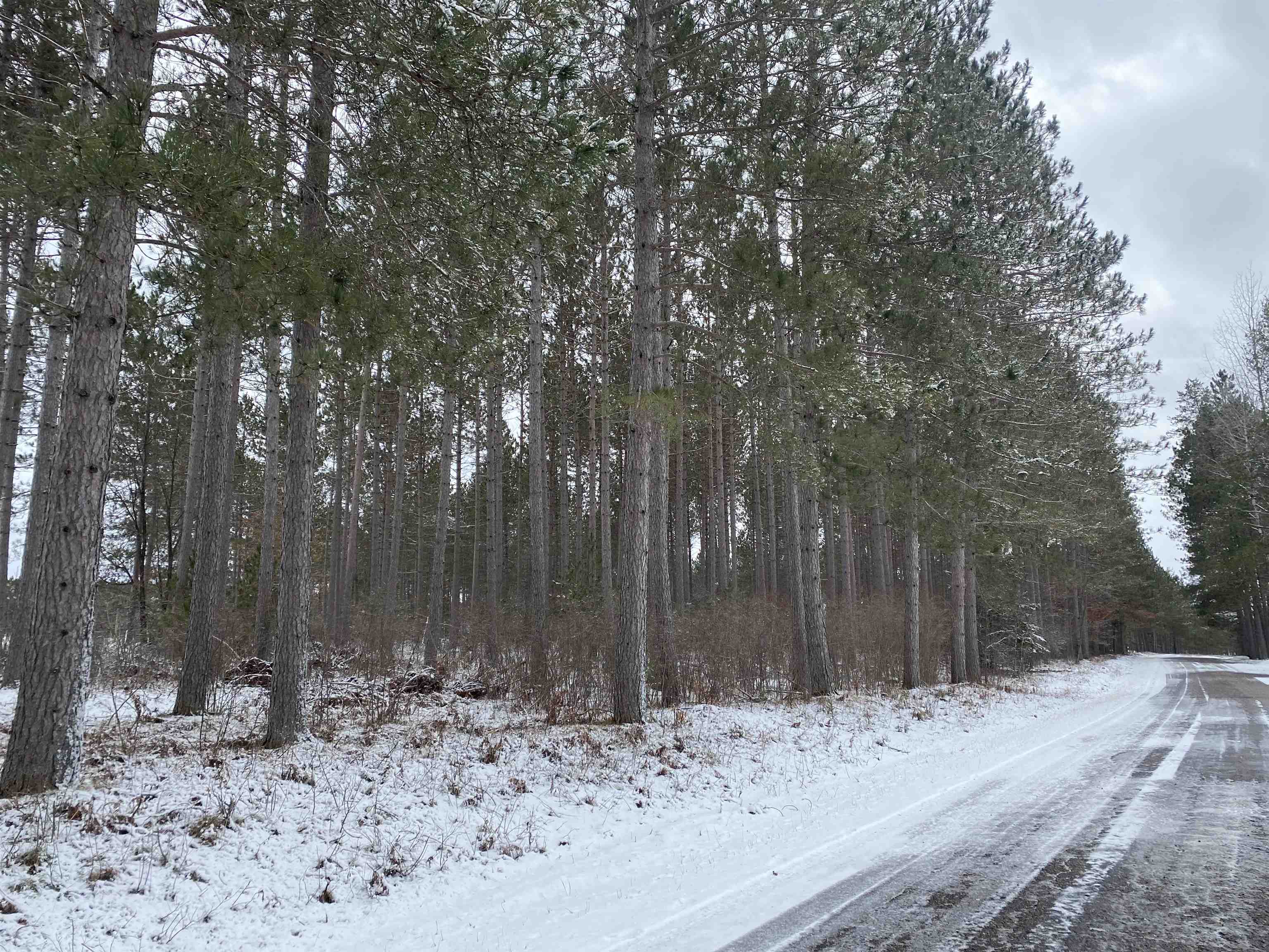ON RIVER ROAD WEST, Tomahawk, Wisconsin 54487, ,Land,For Sale,ON RIVER ROAD WEST,22232457