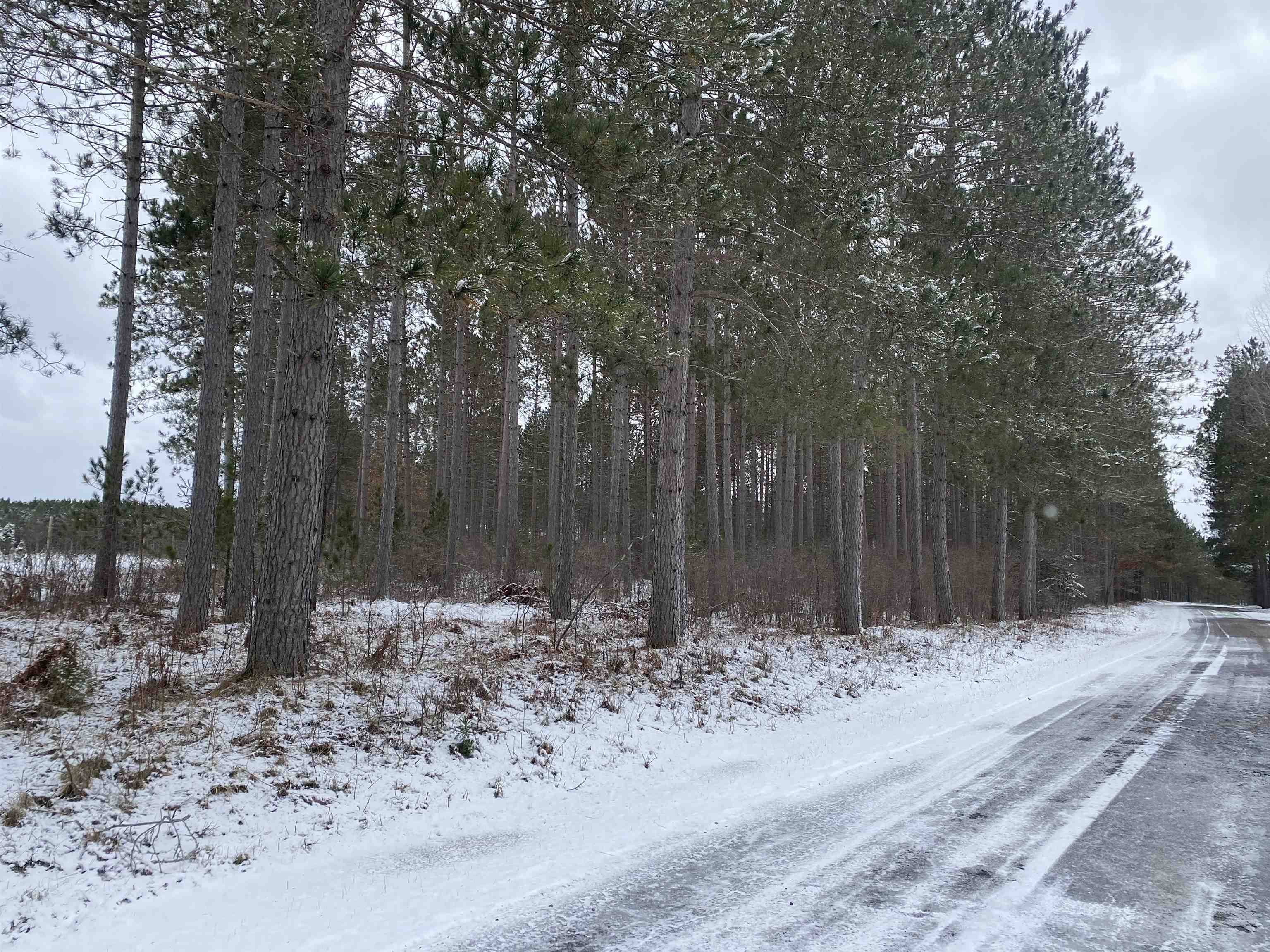 ON RIVER ROAD WEST, Tomahawk, Wisconsin 54487, ,Land,For Sale,ON RIVER ROAD WEST,22232457