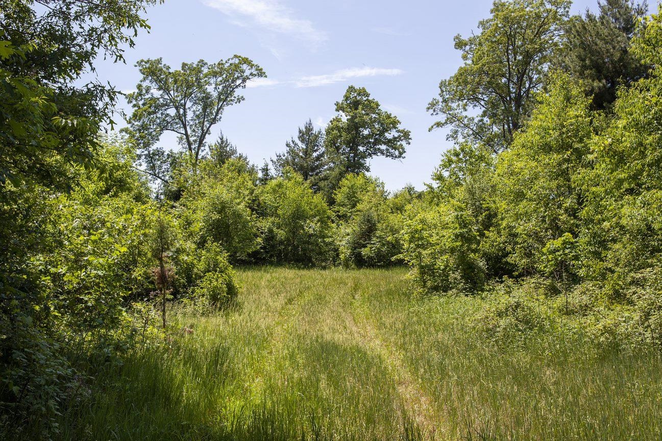80 Acres COUNTY ROAD V, DEERFIELD, Wisconsin 54943, ,Land,For Sale,80 Acres COUNTY ROAD V,22232685