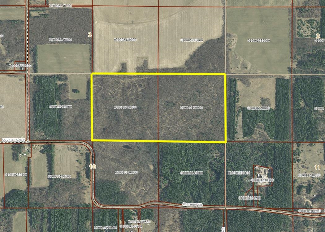 80 Acres COUNTY ROAD V, DEERFIELD, Wisconsin 54943, ,Land,For Sale,80 Acres COUNTY ROAD V,22232685