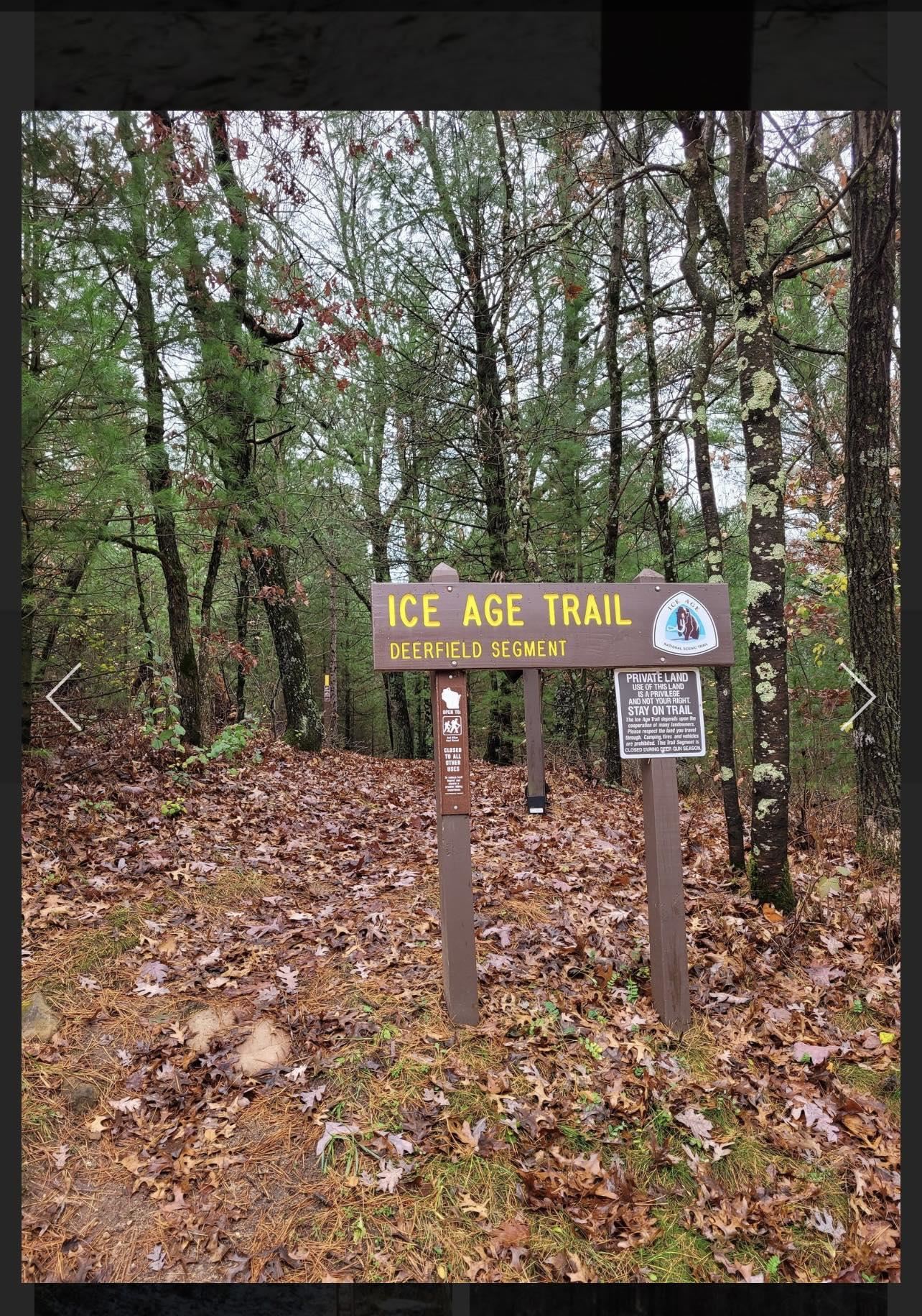 80 Acres COUNTY ROAD V, DEERFIELD, Wisconsin 54943, ,Land,For Sale,80 Acres COUNTY ROAD V,22232685