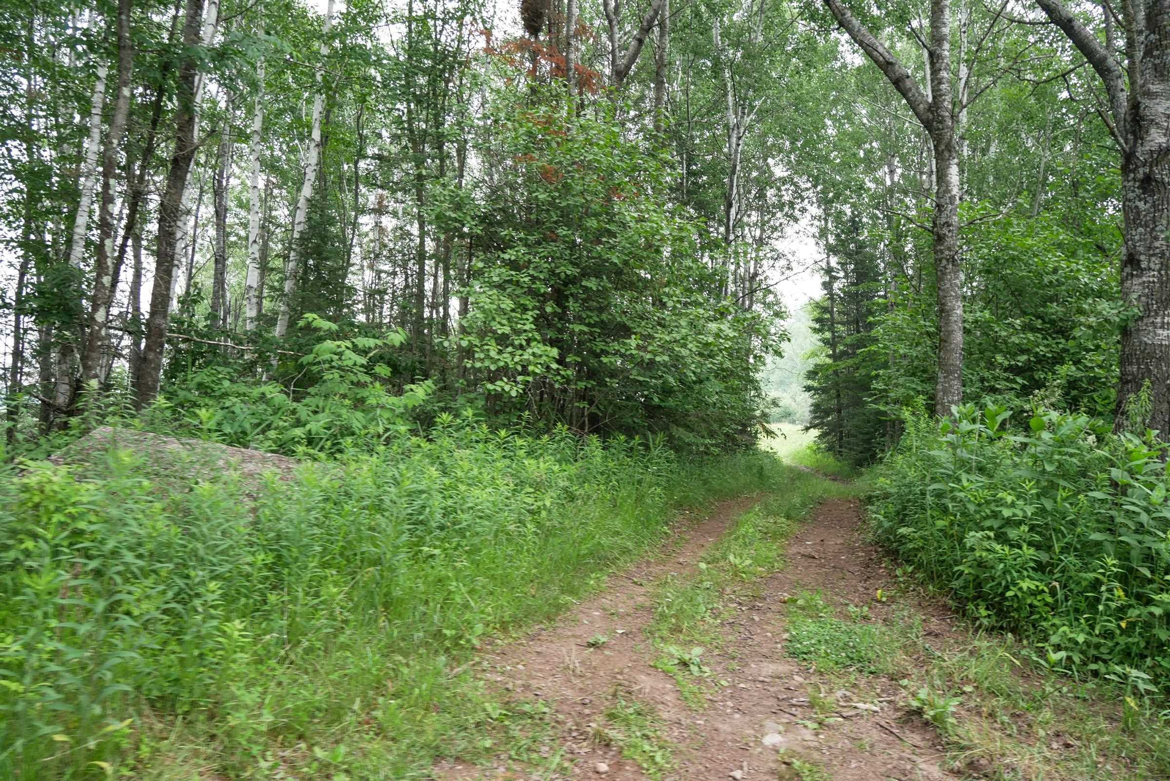 Residential for sale in Westboro, Wisconsin, 22232705