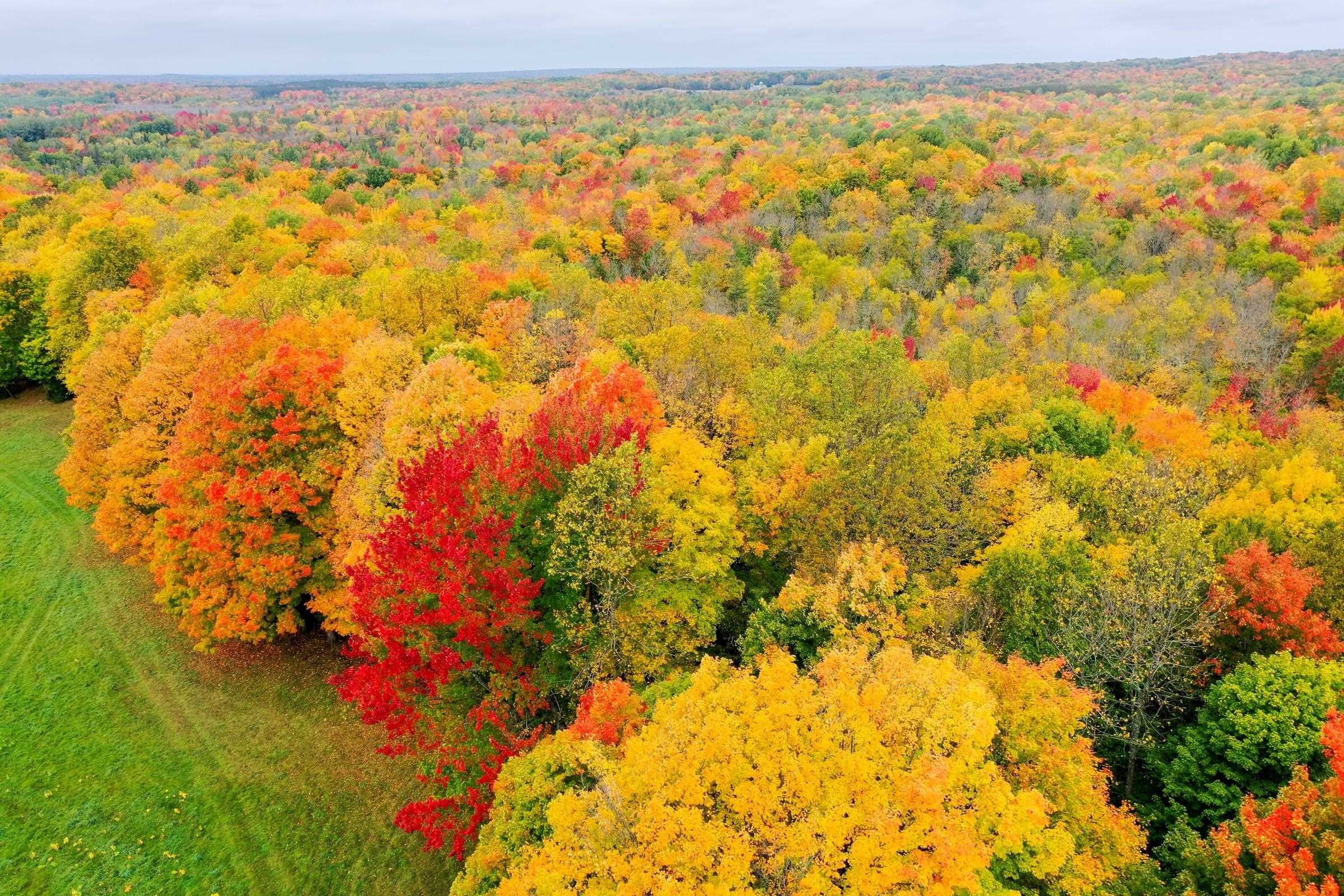 Residential for sale in Westboro, Wisconsin, 22232996