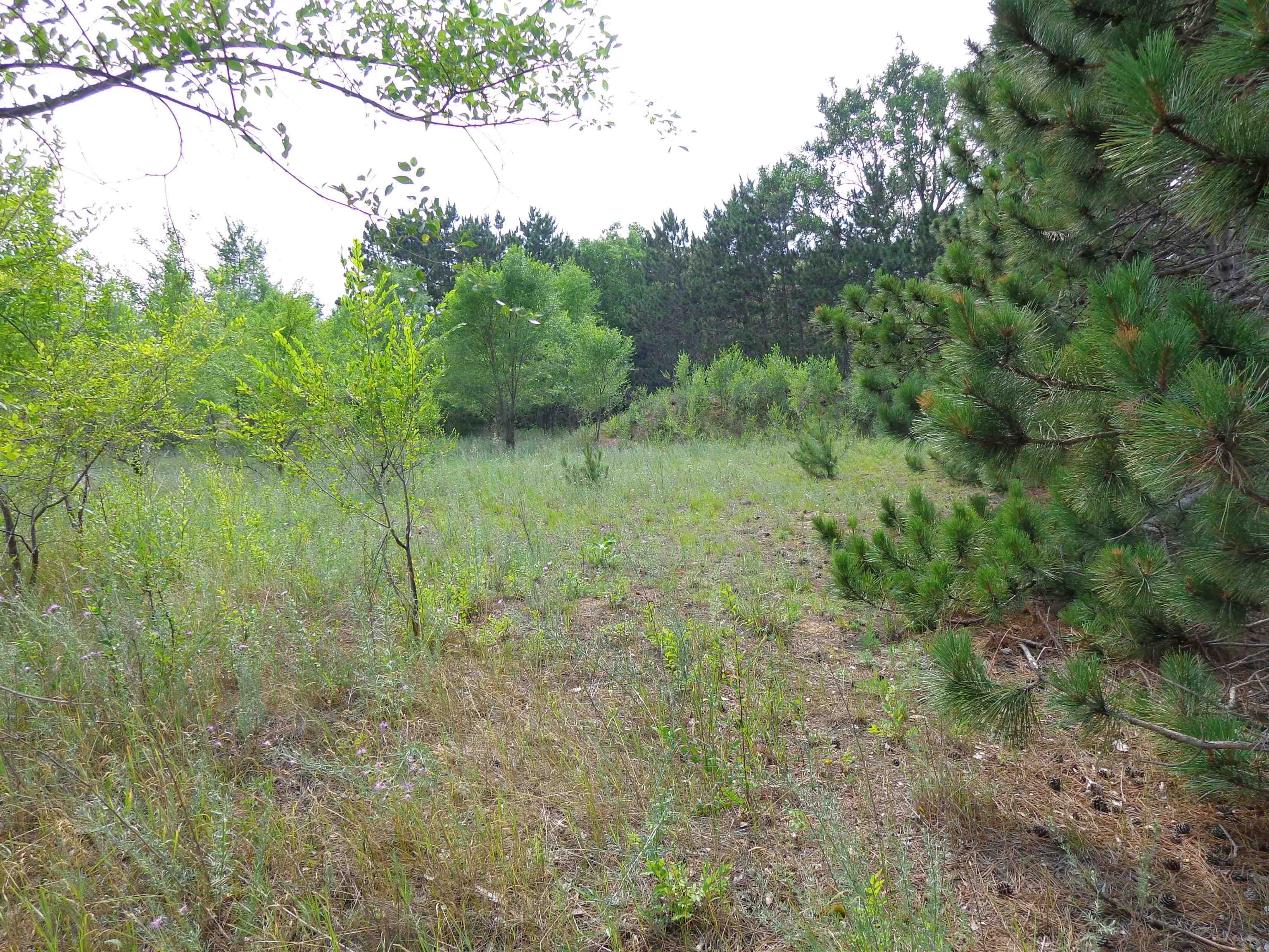 5444 STATE HIGHWAY 10 EAST, Stevens Point, Wisconsin 54482, ,Commercial/industrial,For Sale,5444 STATE HIGHWAY 10 EAST,22233007