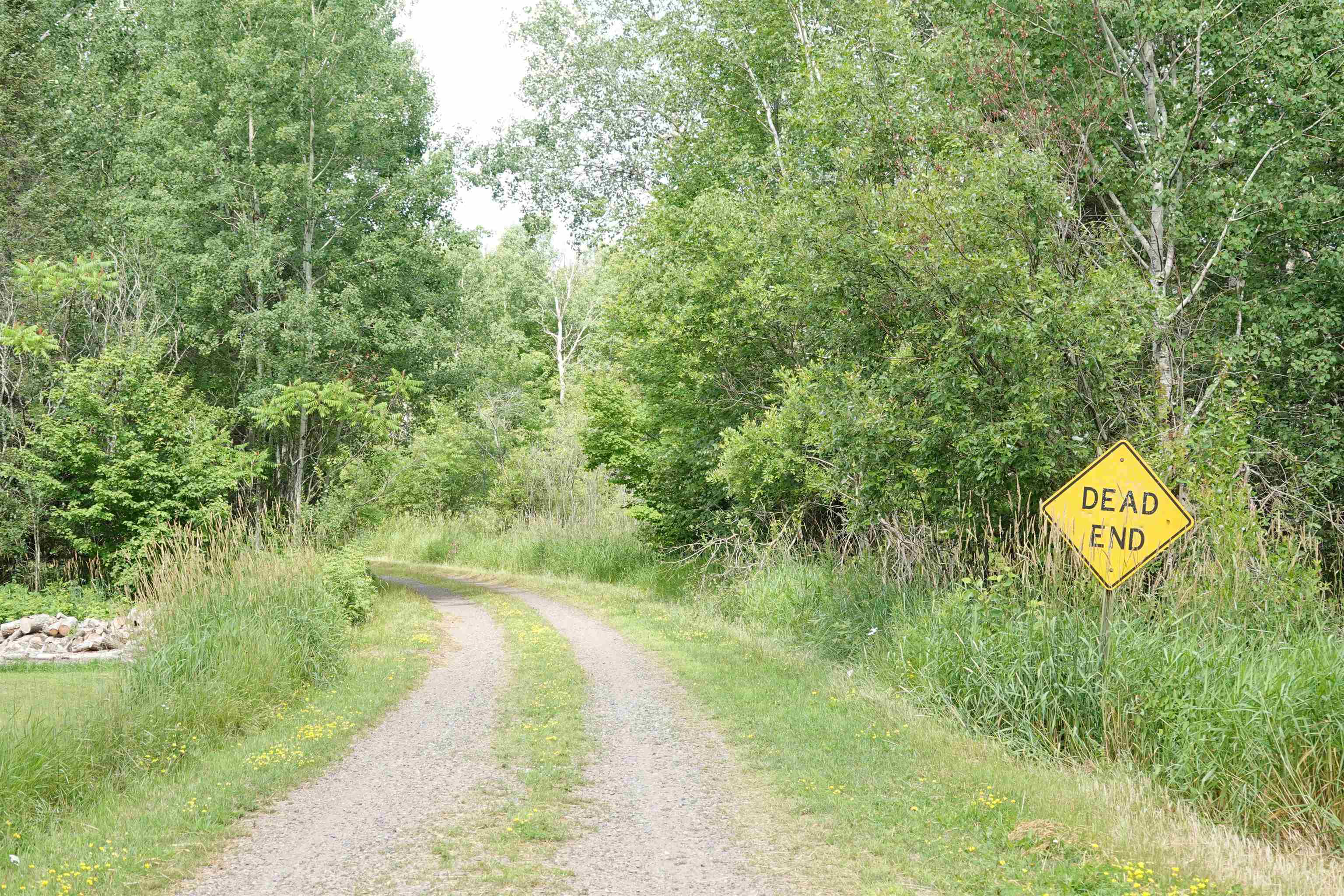 W6786 SILVER CREEK ROAD, Ogema, Wisconsin 54459, ,Land,For Sale,W6786 SILVER CREEK ROAD,22233070
