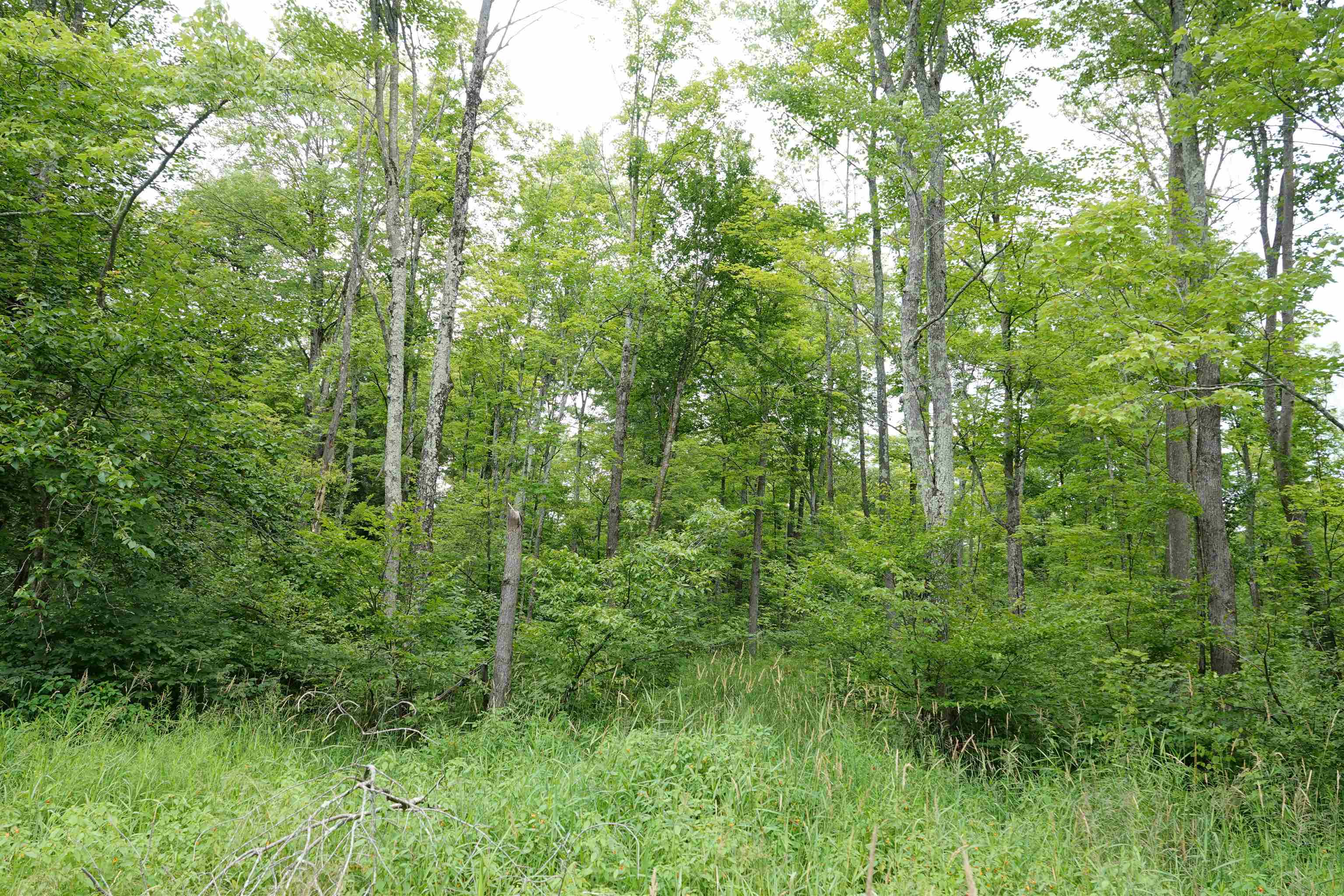 W6786 SILVER CREEK ROAD, Ogema, Wisconsin 54459, ,Land,For Sale,W6786 SILVER CREEK ROAD,22233070