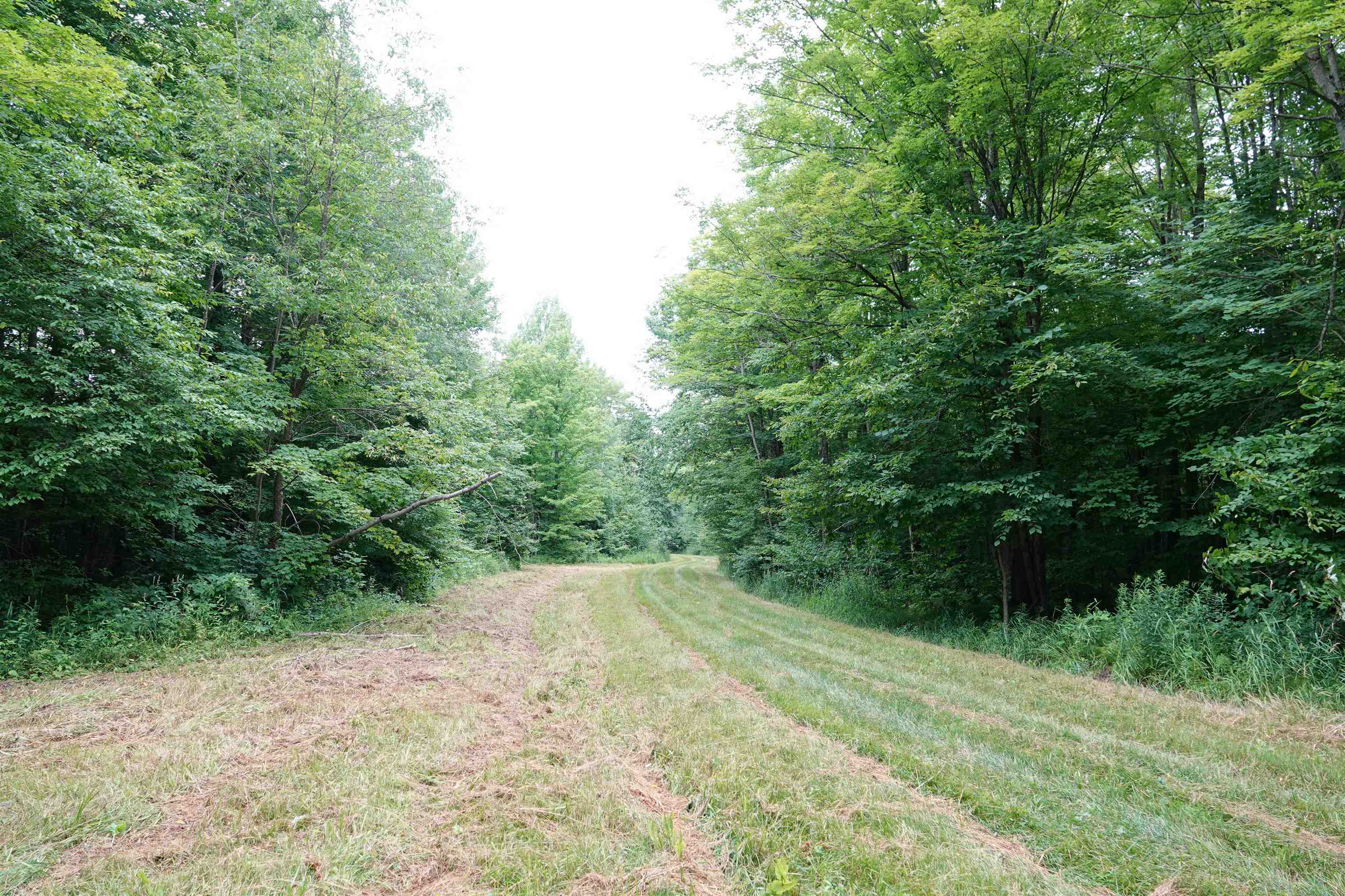 W6786 SILVER CREEK ROAD, Ogema, Wisconsin 54459, ,Land,For Sale,W6786 SILVER CREEK ROAD,22233070