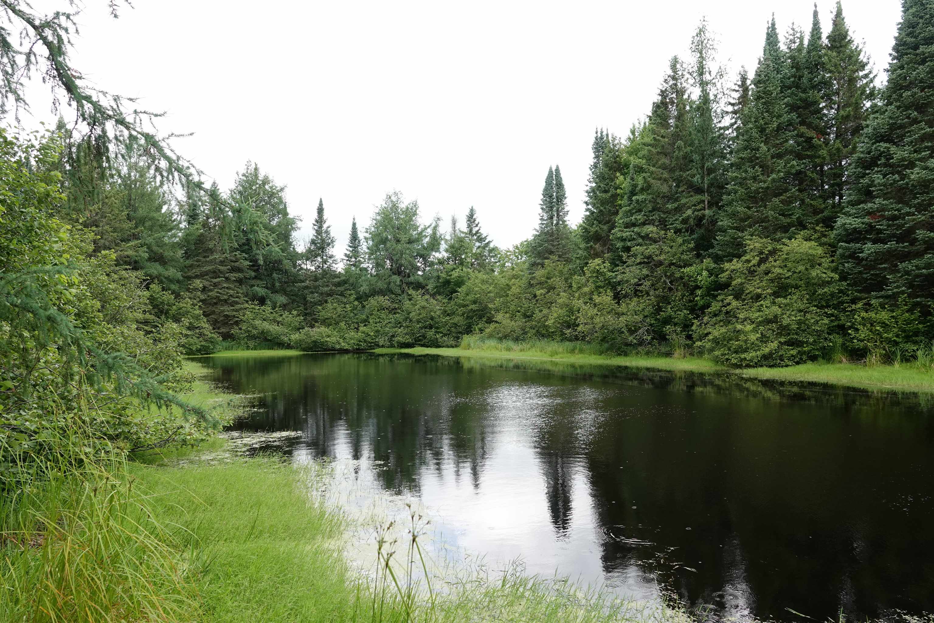 W6786 SILVER CREEK ROAD, Ogema, Wisconsin 54459, ,Land,For Sale,W6786 SILVER CREEK ROAD,22233070