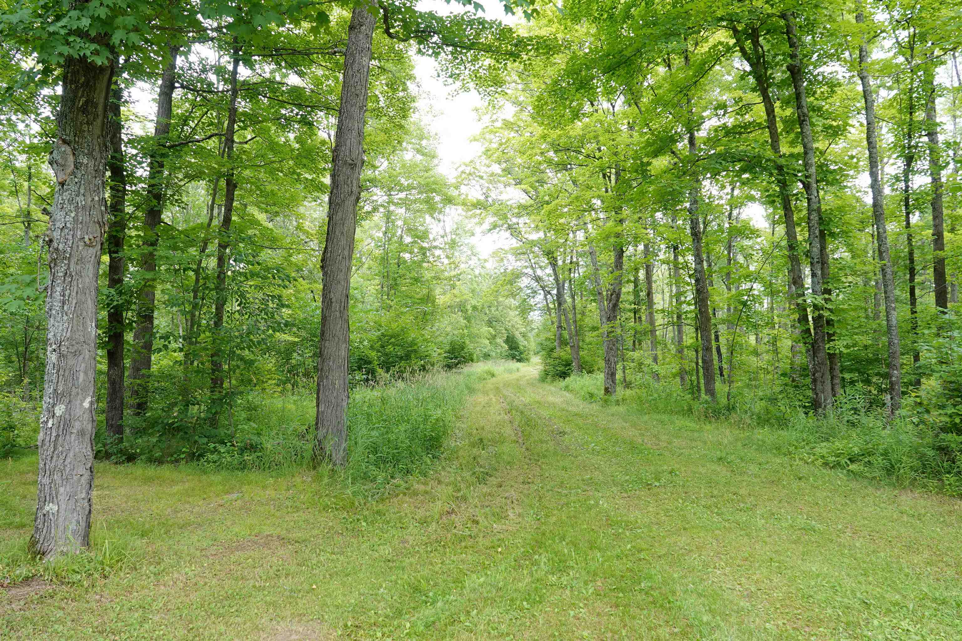 W6786 SILVER CREEK ROAD, Ogema, Wisconsin 54459, ,Land,For Sale,W6786 SILVER CREEK ROAD,22233070