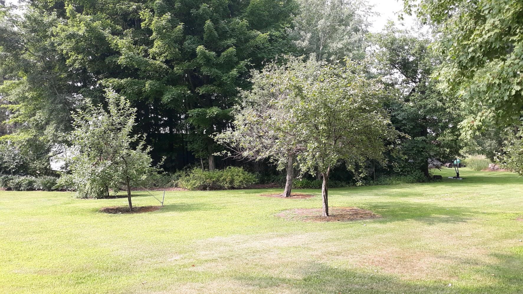 14211 N STATE HIGHWAY 73, Withee, Wisconsin 54498-9999, 4 Bedrooms Bedrooms, ,2 BathroomsBathrooms,Farm/agriculture,For Sale,14211 N STATE HIGHWAY 73,22233179
