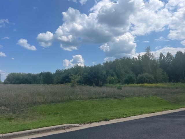 3.21 Acres SCHOFIELD AVENUE, Weston, Wisconsin 54476, ,Commercial/industrial,For Sale,3.21 Acres SCHOFIELD AVENUE,22233447