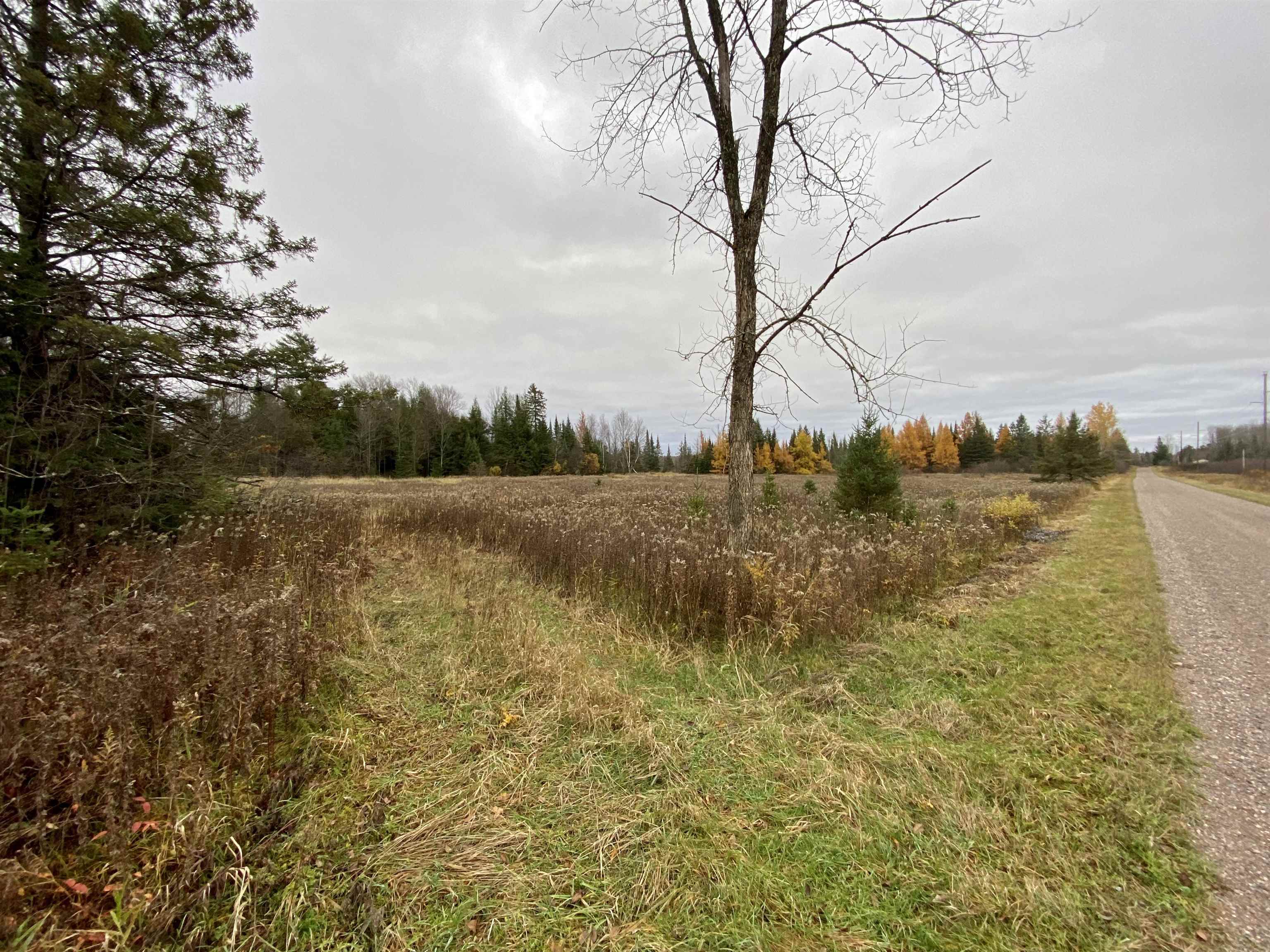 BERGLAND ROAD, Ogema, Wisconsin 54459, ,Land,For Sale,BERGLAND ROAD,22234963