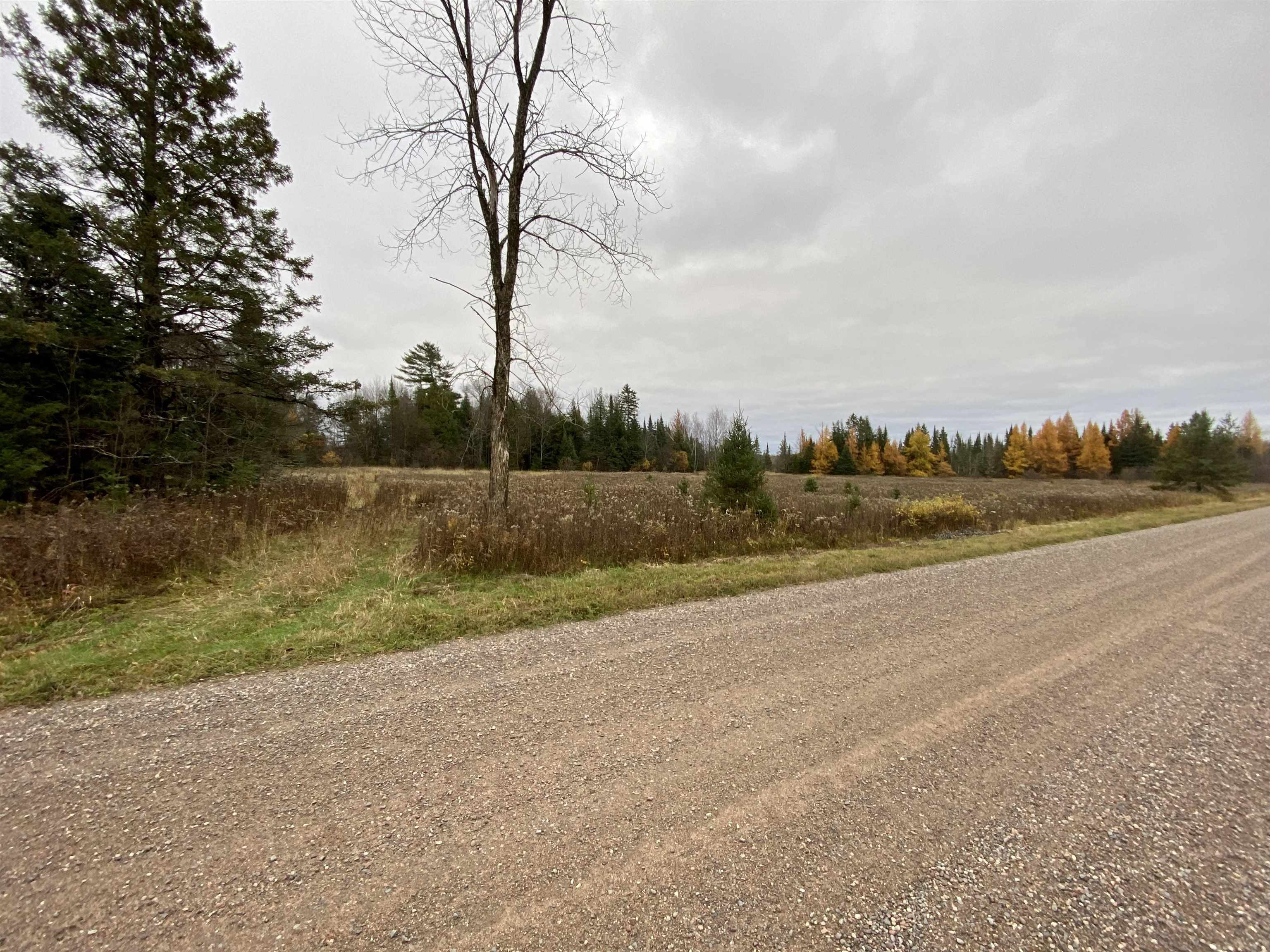 BERGLAND ROAD, Ogema, Wisconsin 54459, ,Land,For Sale,BERGLAND ROAD,22234963
