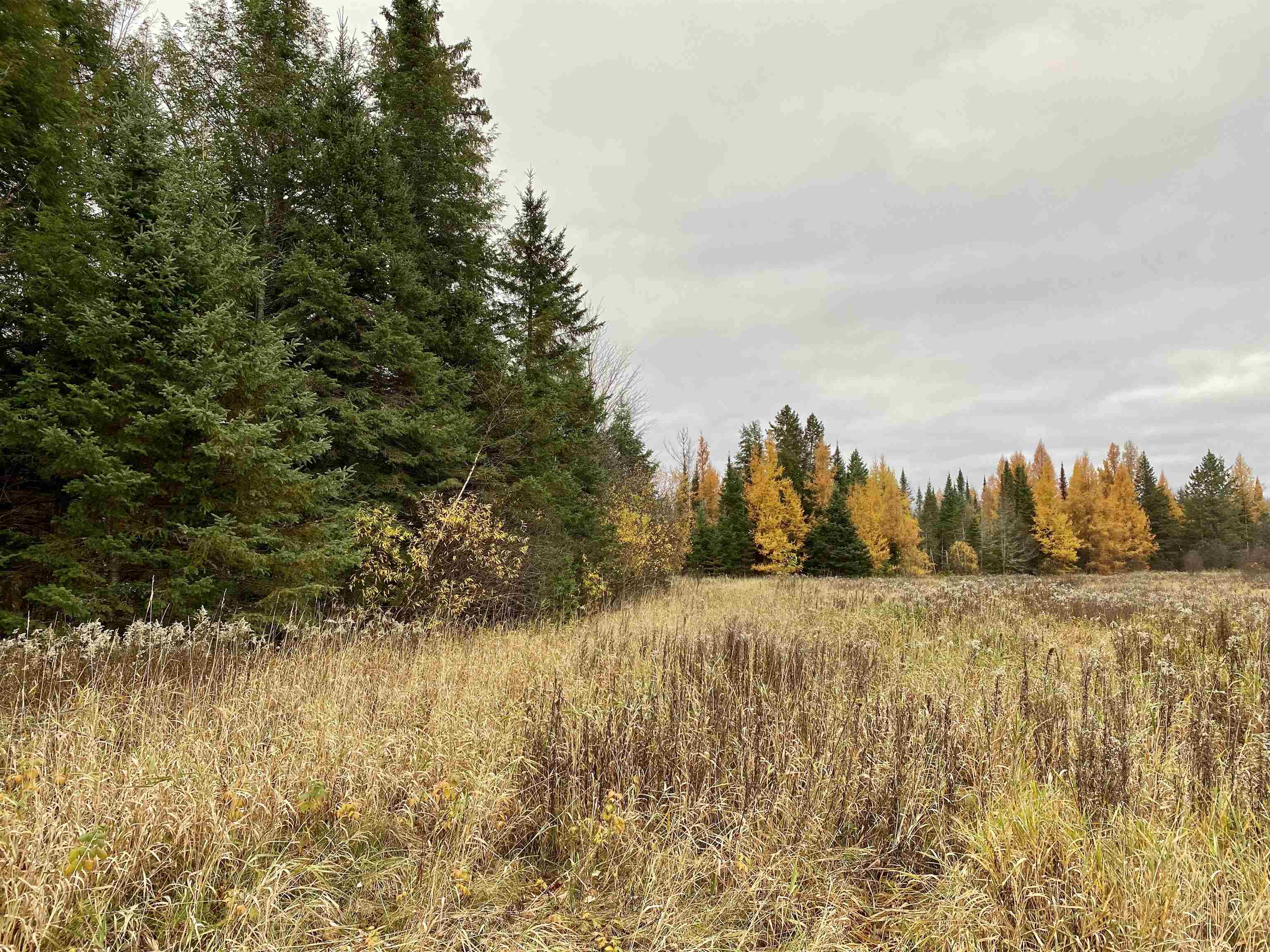 BERGLAND ROAD, Ogema, Wisconsin 54459, ,Land,For Sale,BERGLAND ROAD,22234963