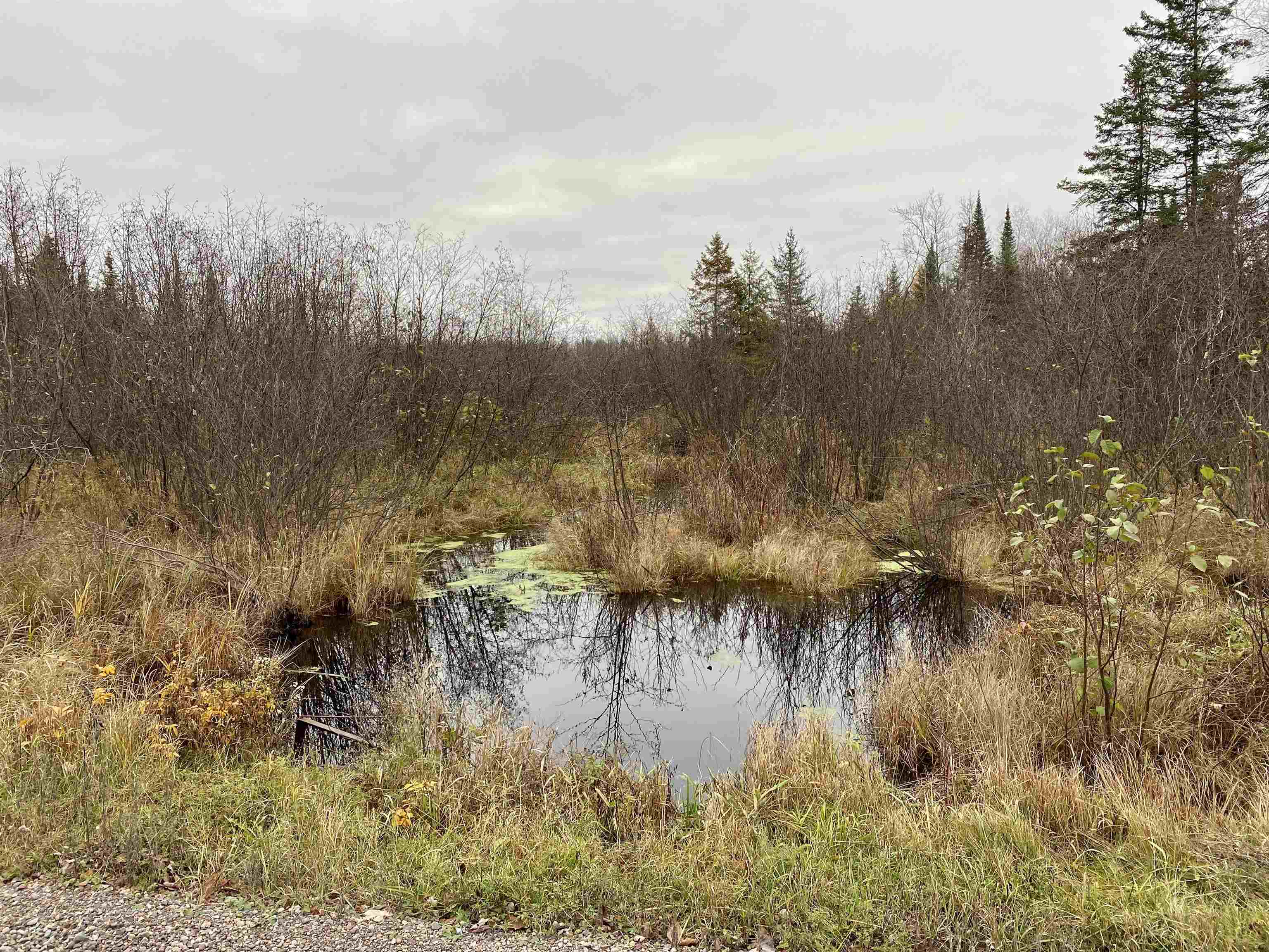 BERGLAND ROAD, Ogema, Wisconsin 54459, ,Land,For Sale,BERGLAND ROAD,22234963