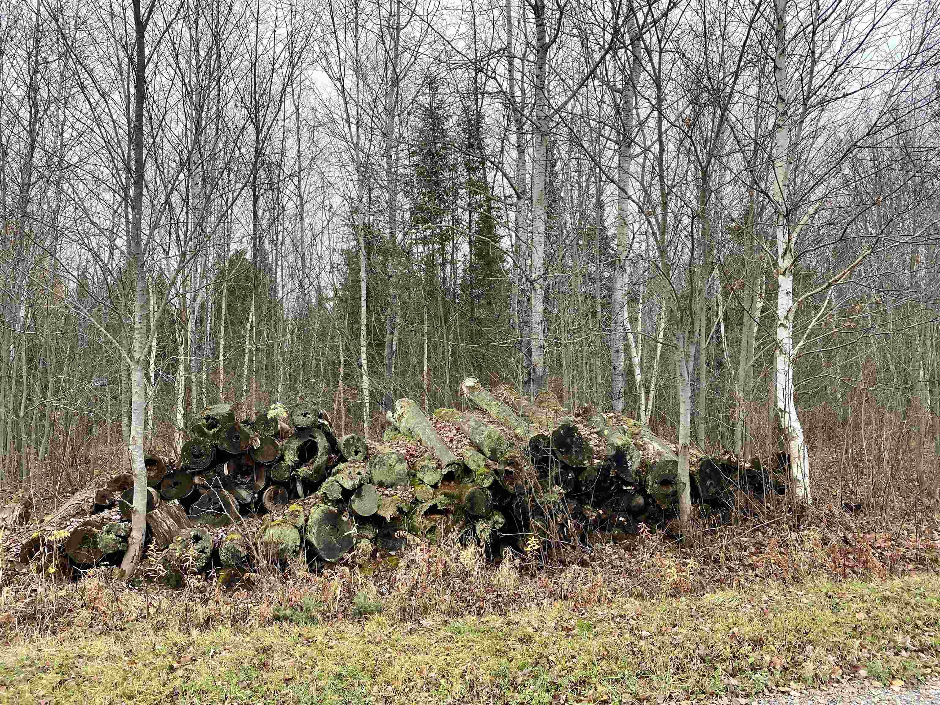 BERGLAND ROAD, Ogema, Wisconsin 54459, ,Land,For Sale,BERGLAND ROAD,22234963
