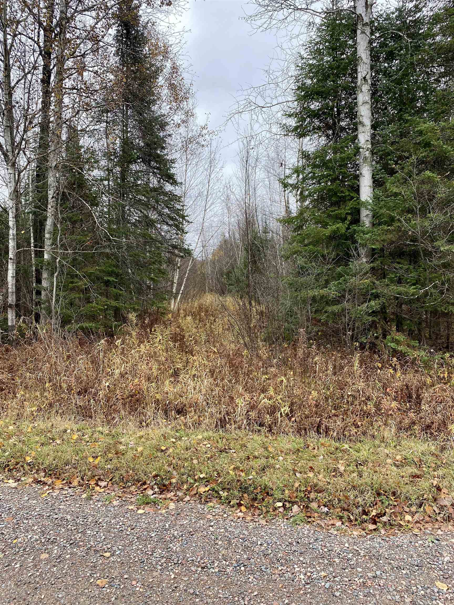 BERGLAND ROAD, Ogema, Wisconsin 54459, ,Land,For Sale,BERGLAND ROAD,22234963