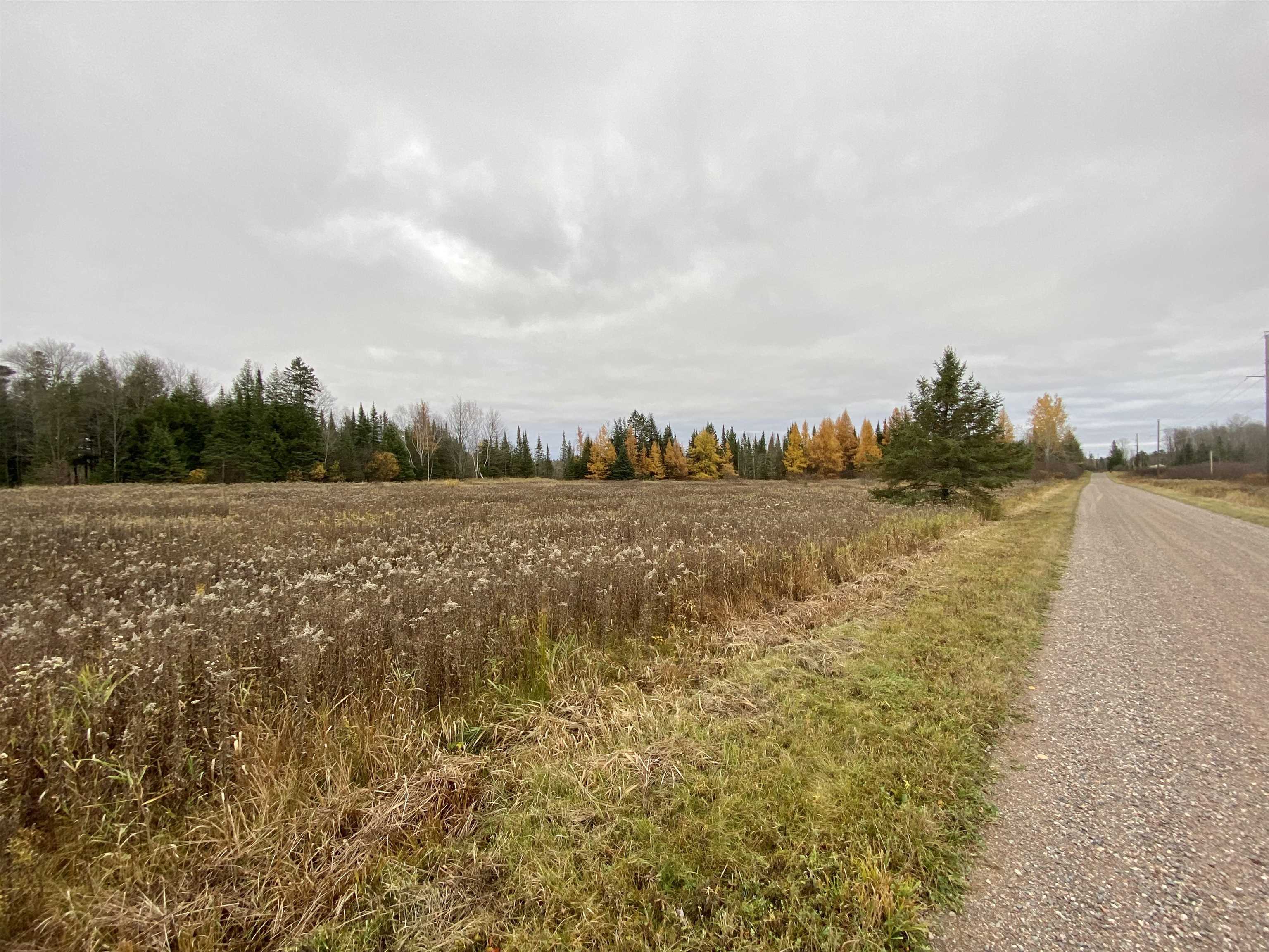 BERGLAND ROAD, Ogema, Wisconsin 54459, ,Land,For Sale,BERGLAND ROAD,22234963