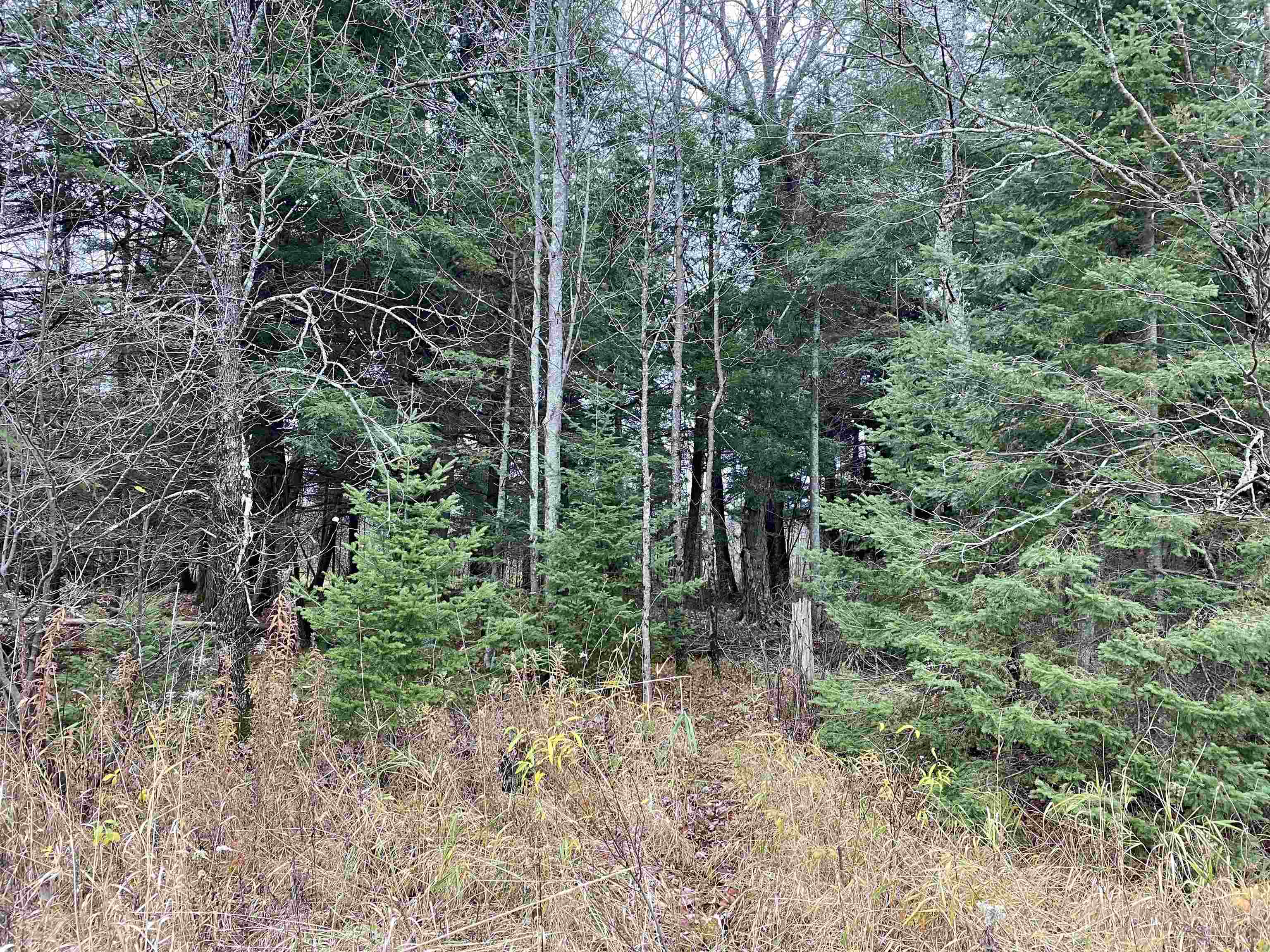 BERGLAND ROAD, Ogema, Wisconsin 54459, ,Land,For Sale,BERGLAND ROAD,22234963