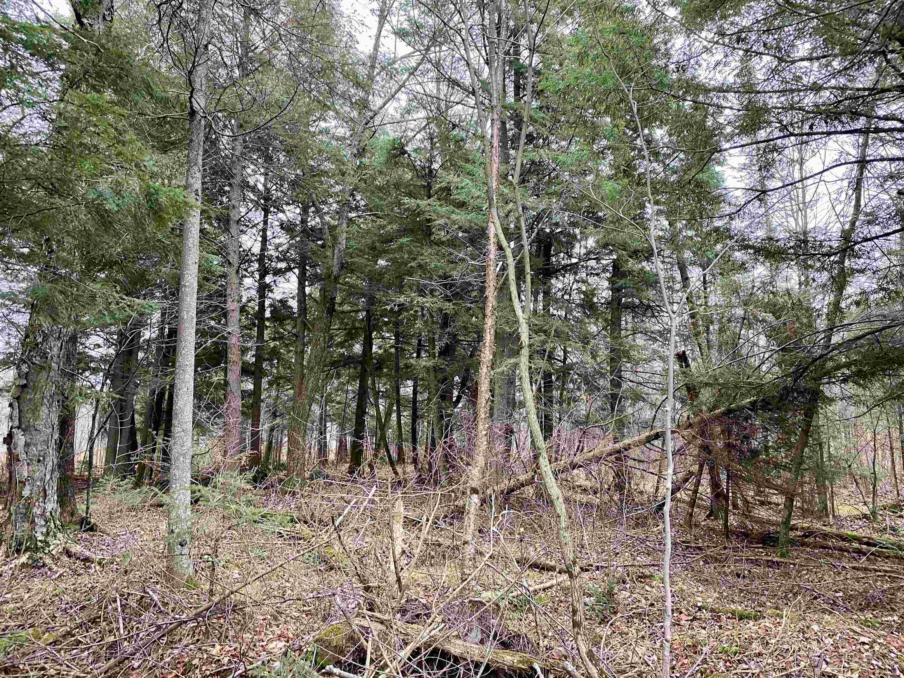 BERGLAND ROAD, Ogema, Wisconsin 54459, ,Land,For Sale,BERGLAND ROAD,22234963