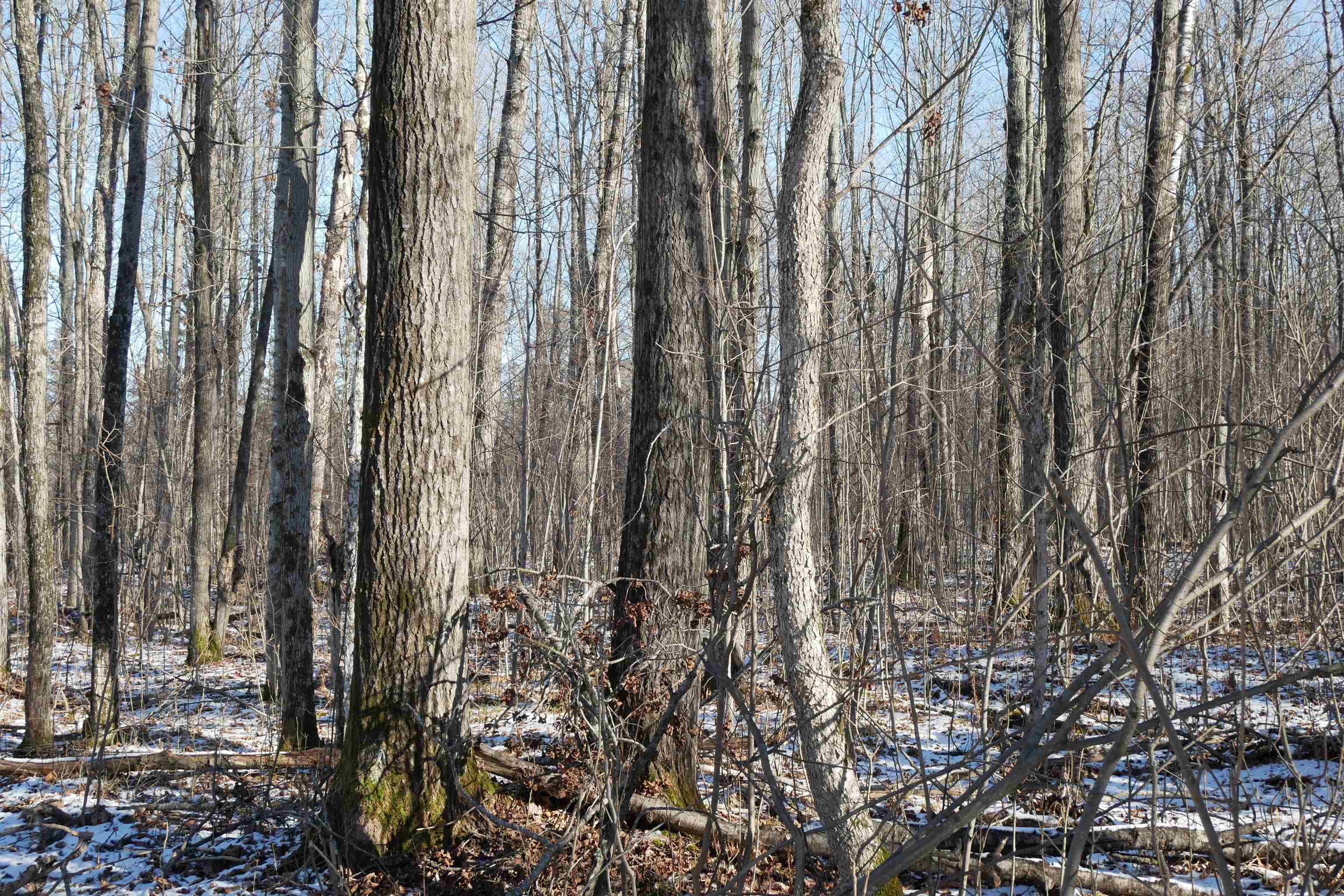 4.70 Acres US HIGHWAY 8, Prentice, Wisconsin 54556, ,Land,For Sale,4.70 Acres US HIGHWAY 8,22235551