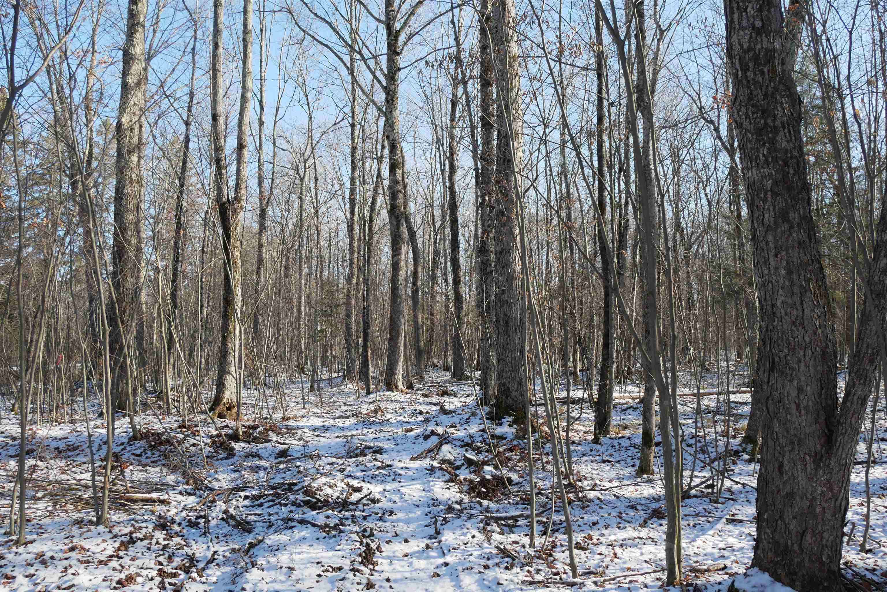 4.70 Acres US HIGHWAY 8, Prentice, Wisconsin 54556, ,Land,For Sale,4.70 Acres US HIGHWAY 8,22235551