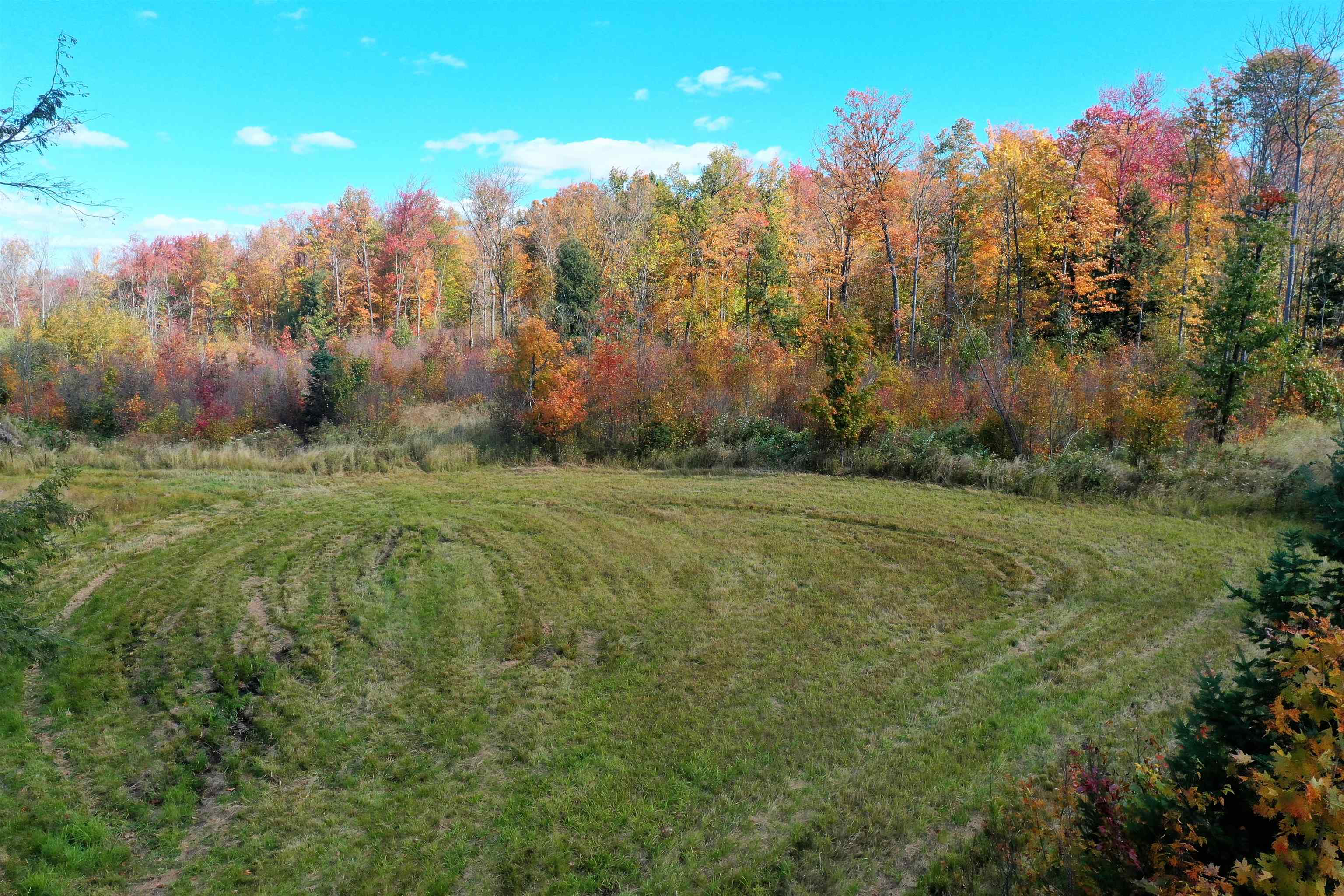 +/-159 Acres COUNTY ROAD I, Ogema, Wisconsin 54459, ,Land,For Sale,+/-159 Acres COUNTY ROAD I,22235809