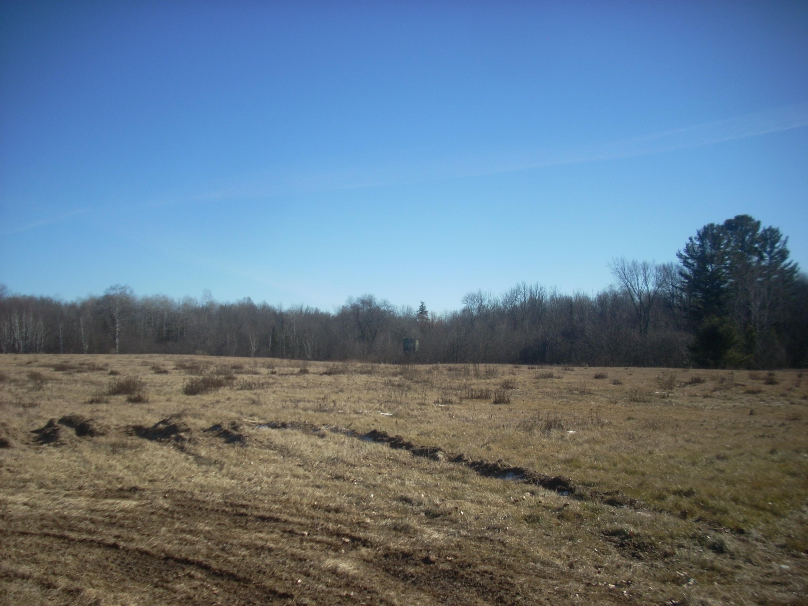 35.85 Acres COUNTY ROAD JJ, Merrill, Wisconsin 54452, ,Land,For Sale,35.85 Acres COUNTY ROAD JJ,22400210